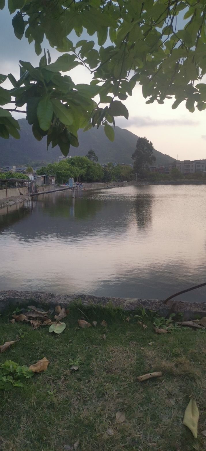 连江农家钓鱼场
