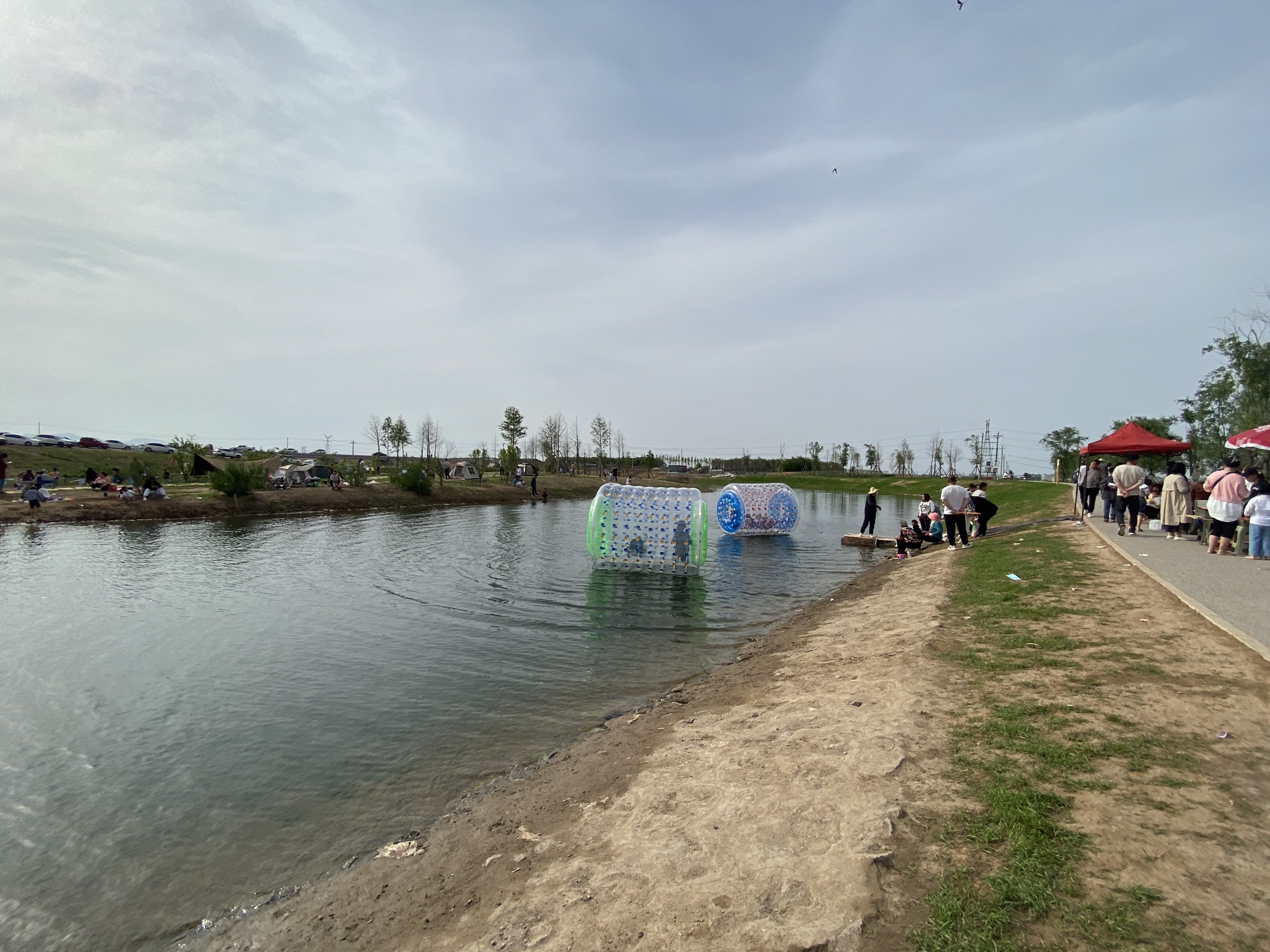牤滏湿地旅行图片 1