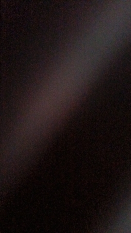 南阳野生动物世界旅行图片 2