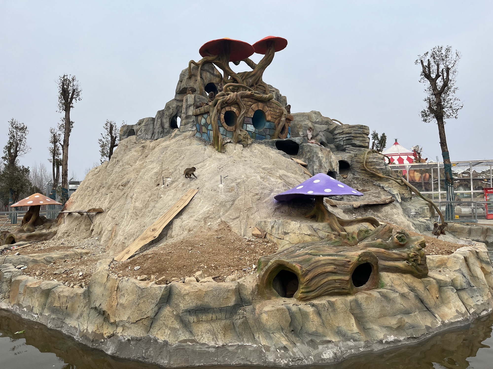 南阳野生动物世界旅行图片 3