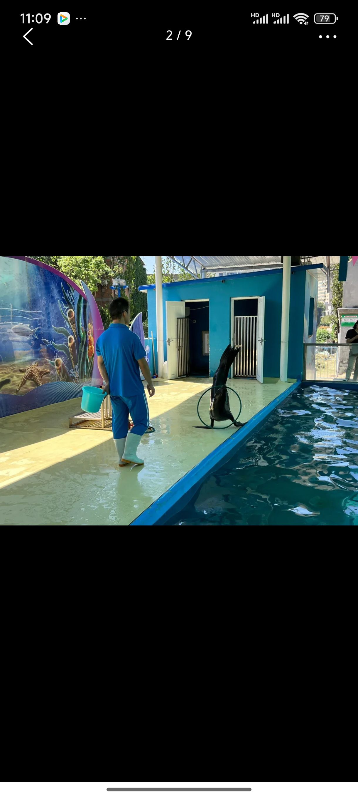 南阳野生动物世界旅行图片 3