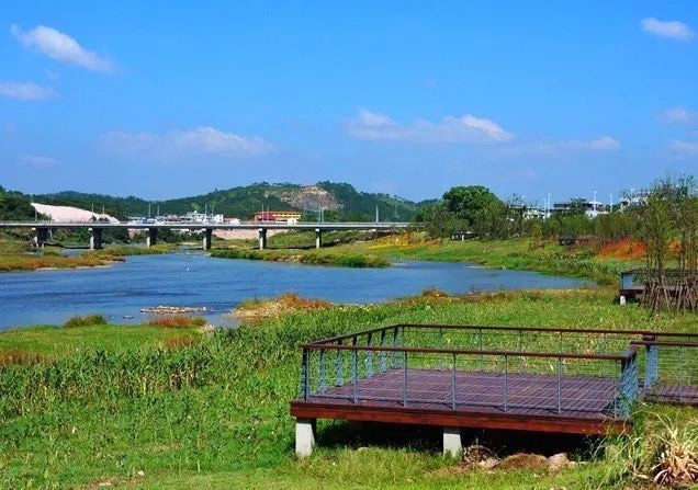 江西万安云洲湿地公园旅行图片 1