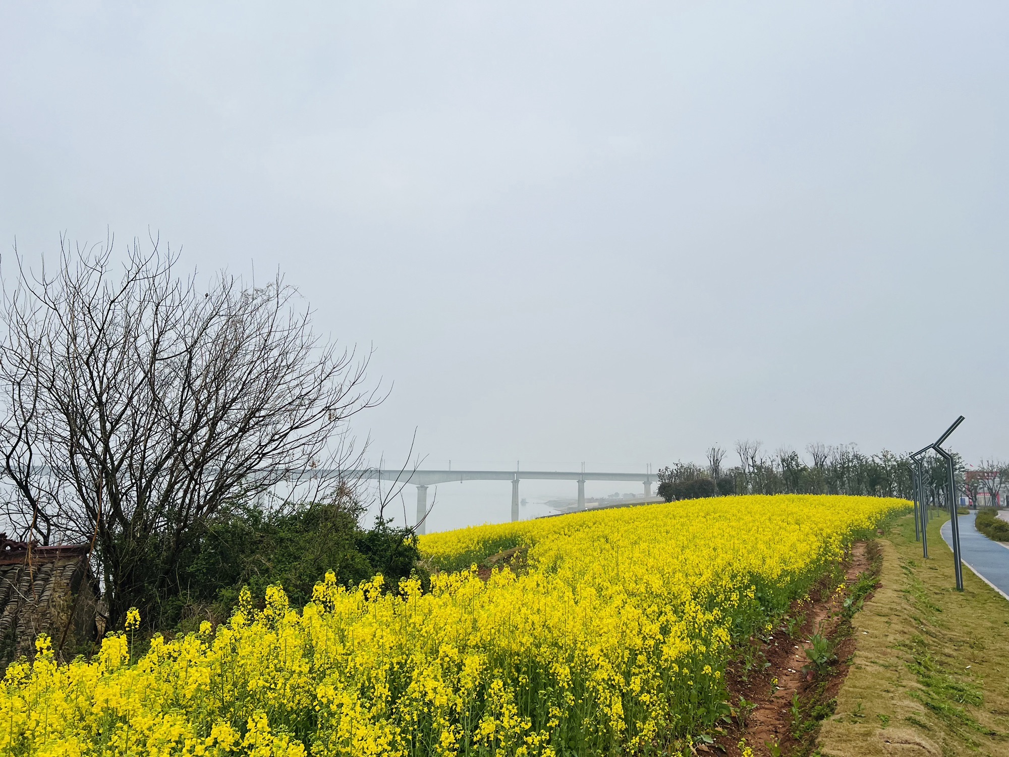 赣江市民公园四期旅行图片 2