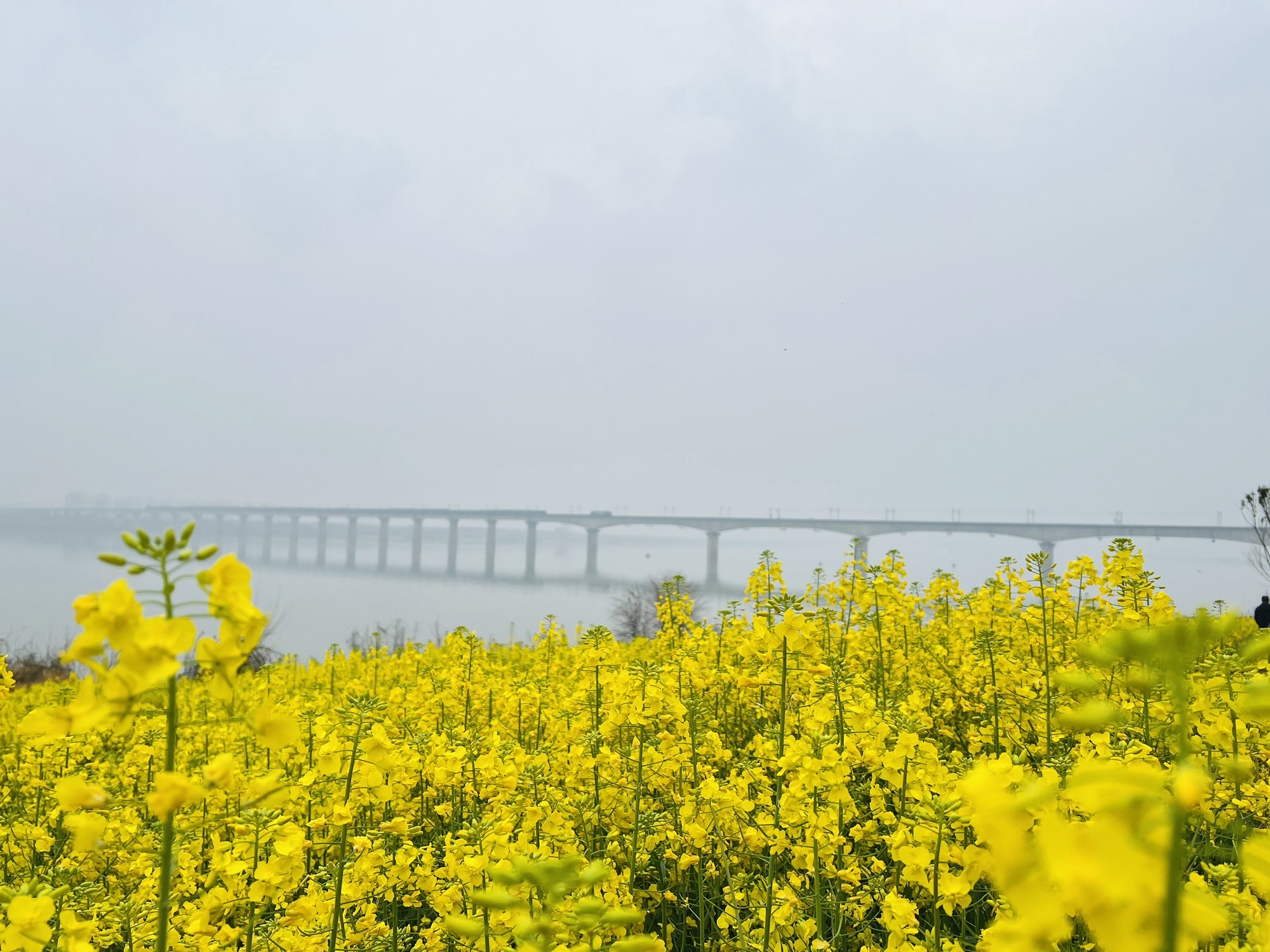 赣江市民公园四期旅行图片 2