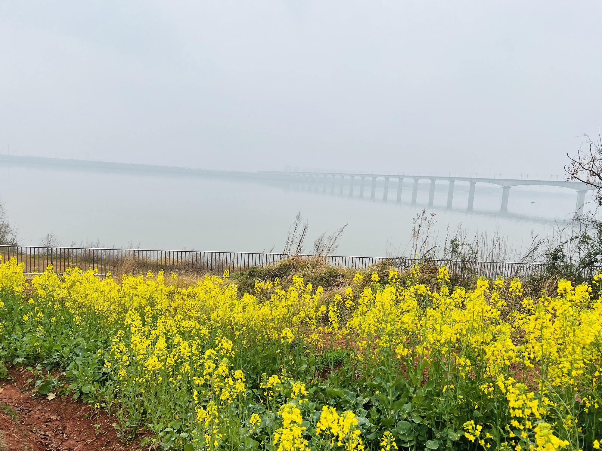 赣江市民公园四期旅行图片 1