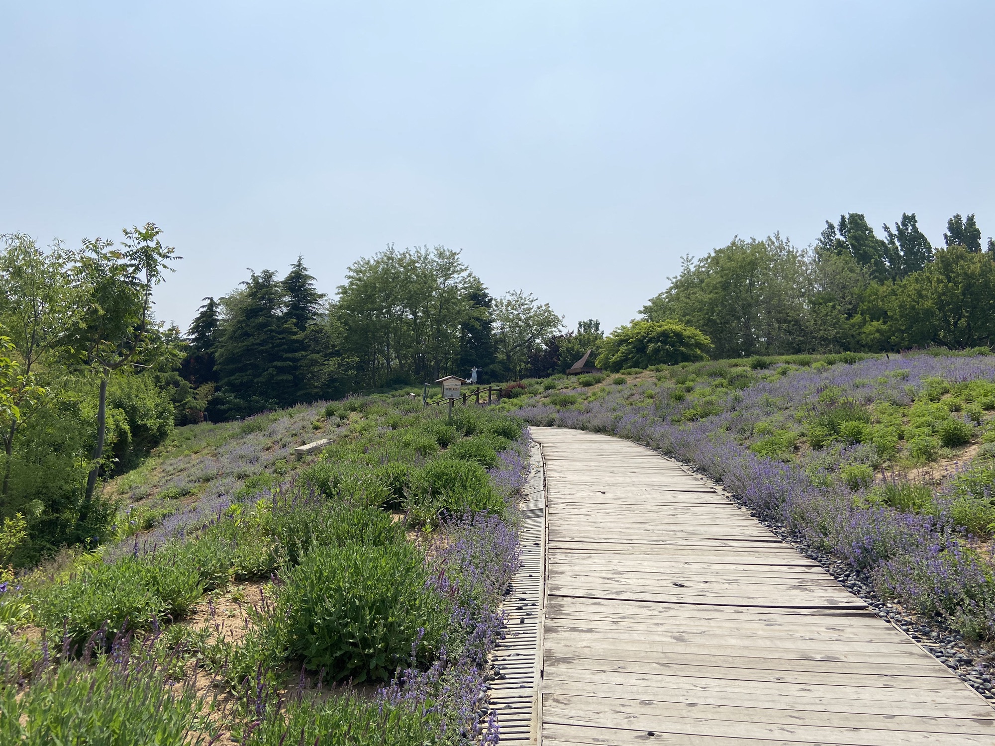 龙湖动步公园(STEP PARK)旅行图片 3