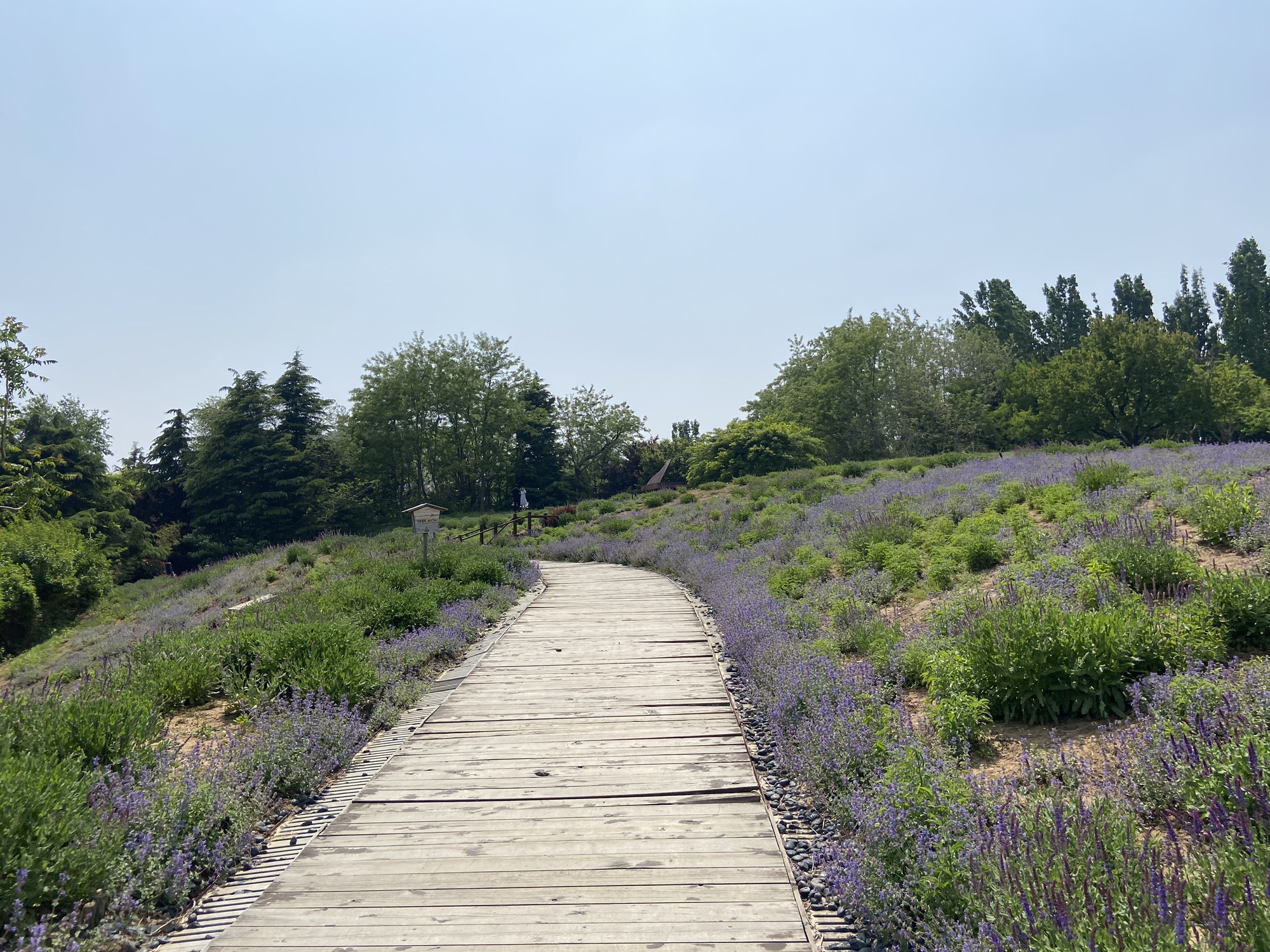 龙湖动步公园(STEP PARK)旅行图片 2