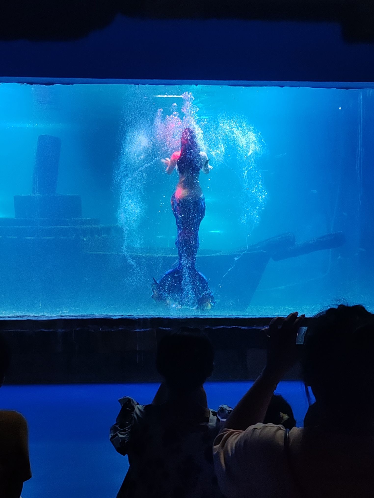 潍坊海昌海洋馆(暂停开放)旅行图片 3