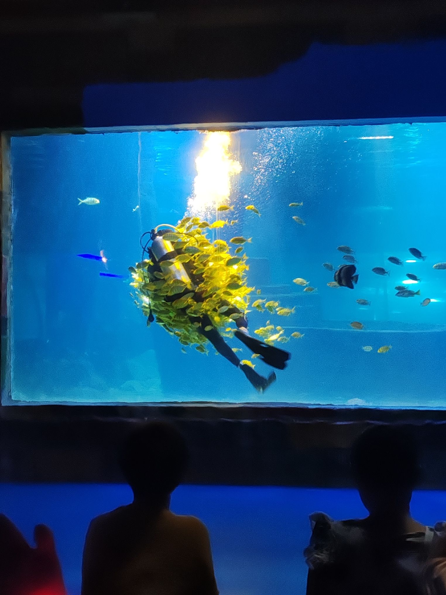 潍坊海昌海洋馆(暂停开放)旅行图片 2