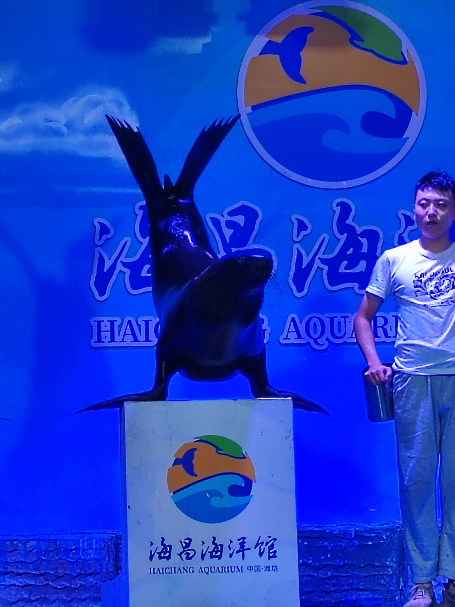 潍坊海昌海洋馆(暂停开放)旅行图片 1