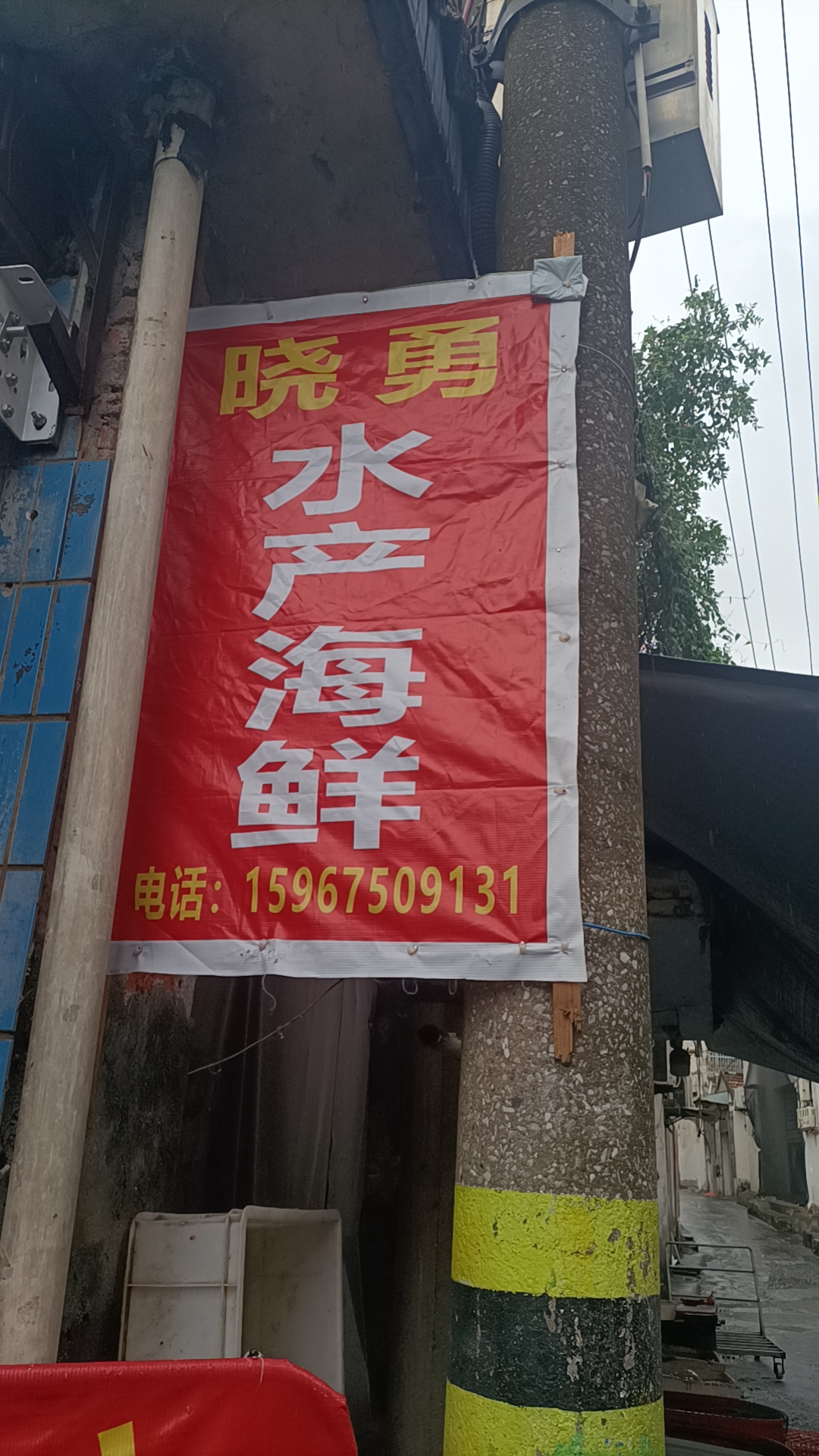 钱清晓勇水产品店