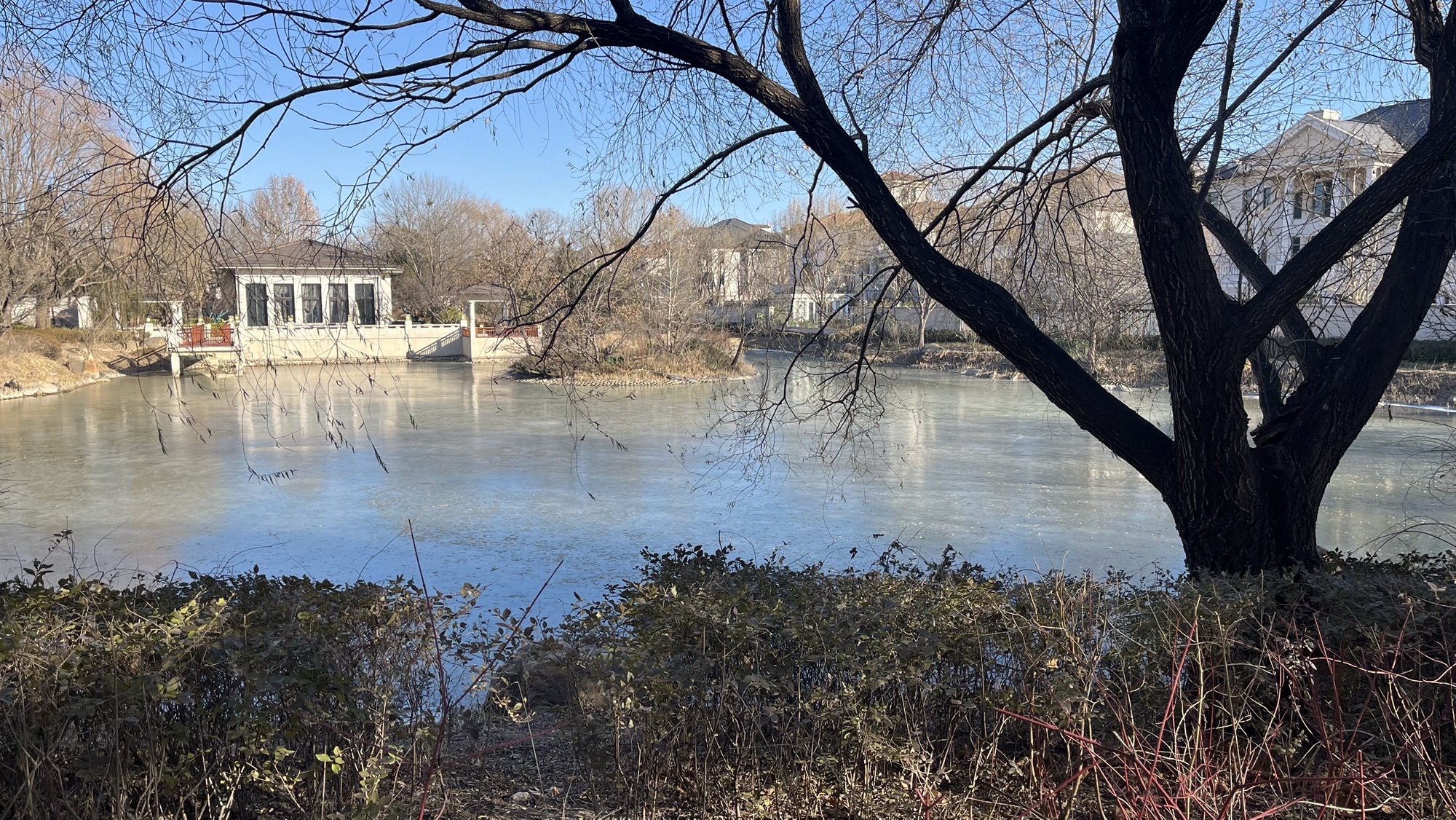 润泽公园旅行图片 1