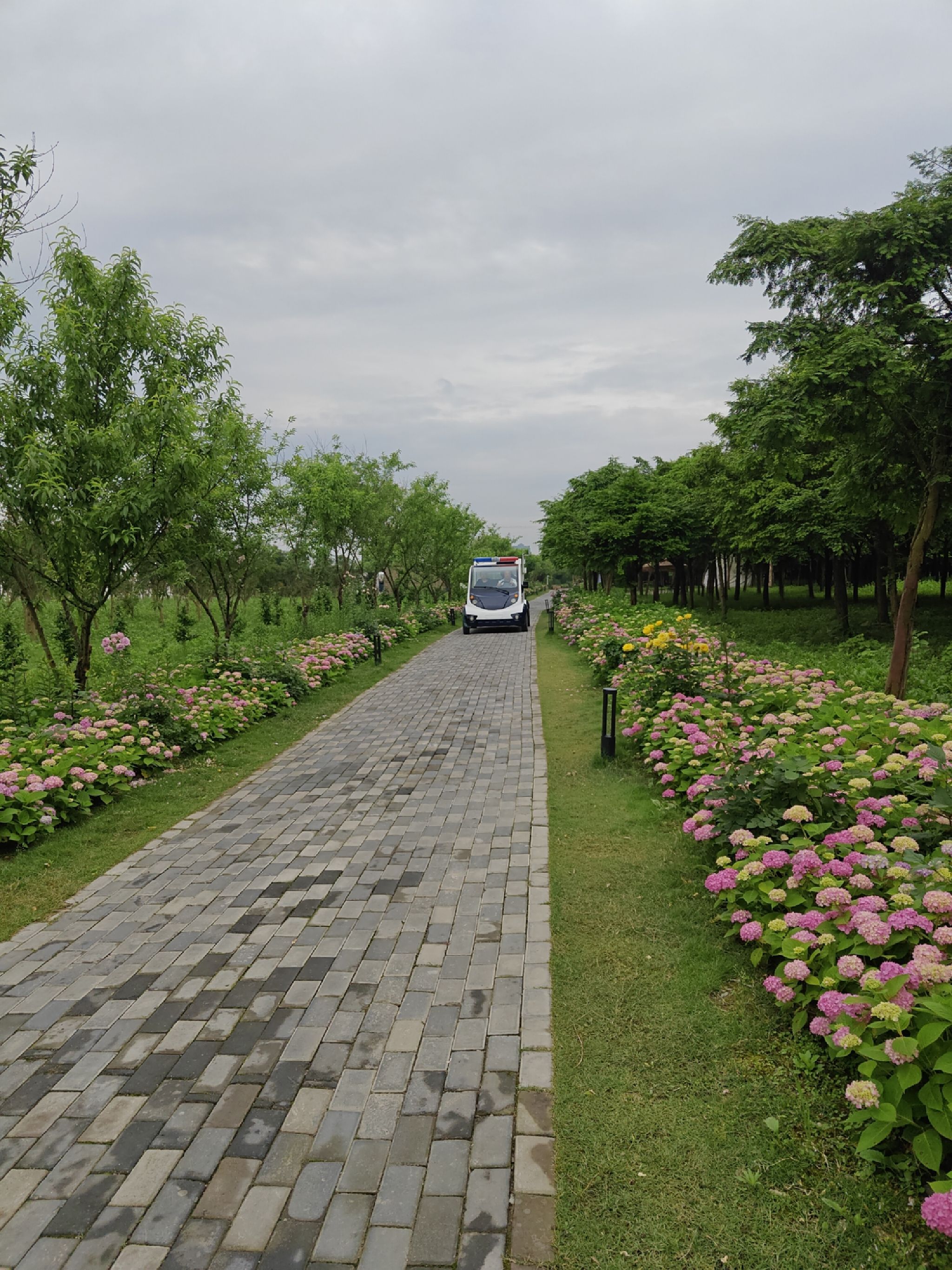 芷江桃花溪露营基地旅行图片 1