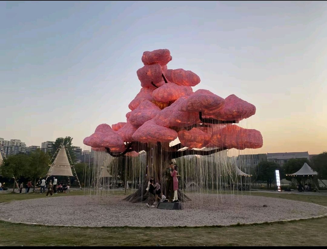 芷江桃花溪露营基地旅行图片 3