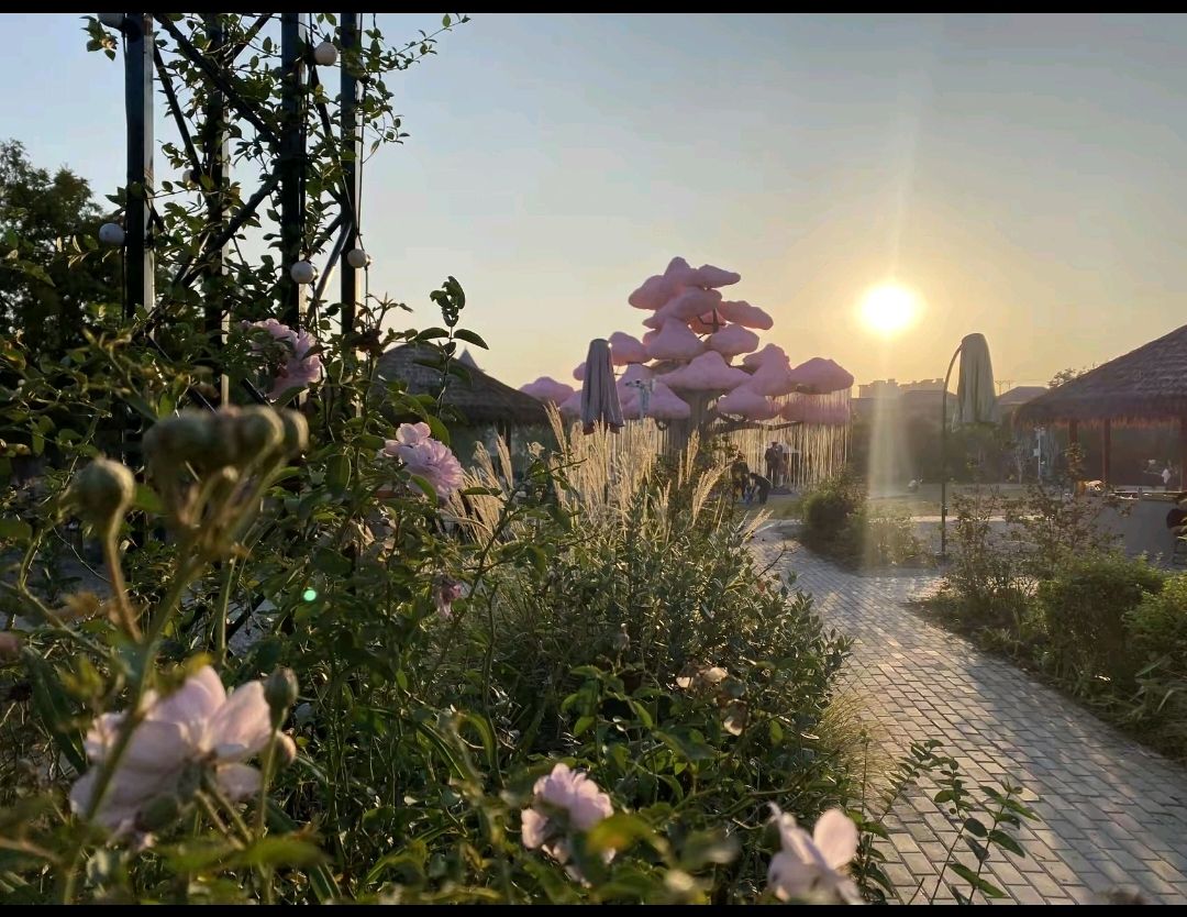 芷江桃花溪露营基地旅行图片 2