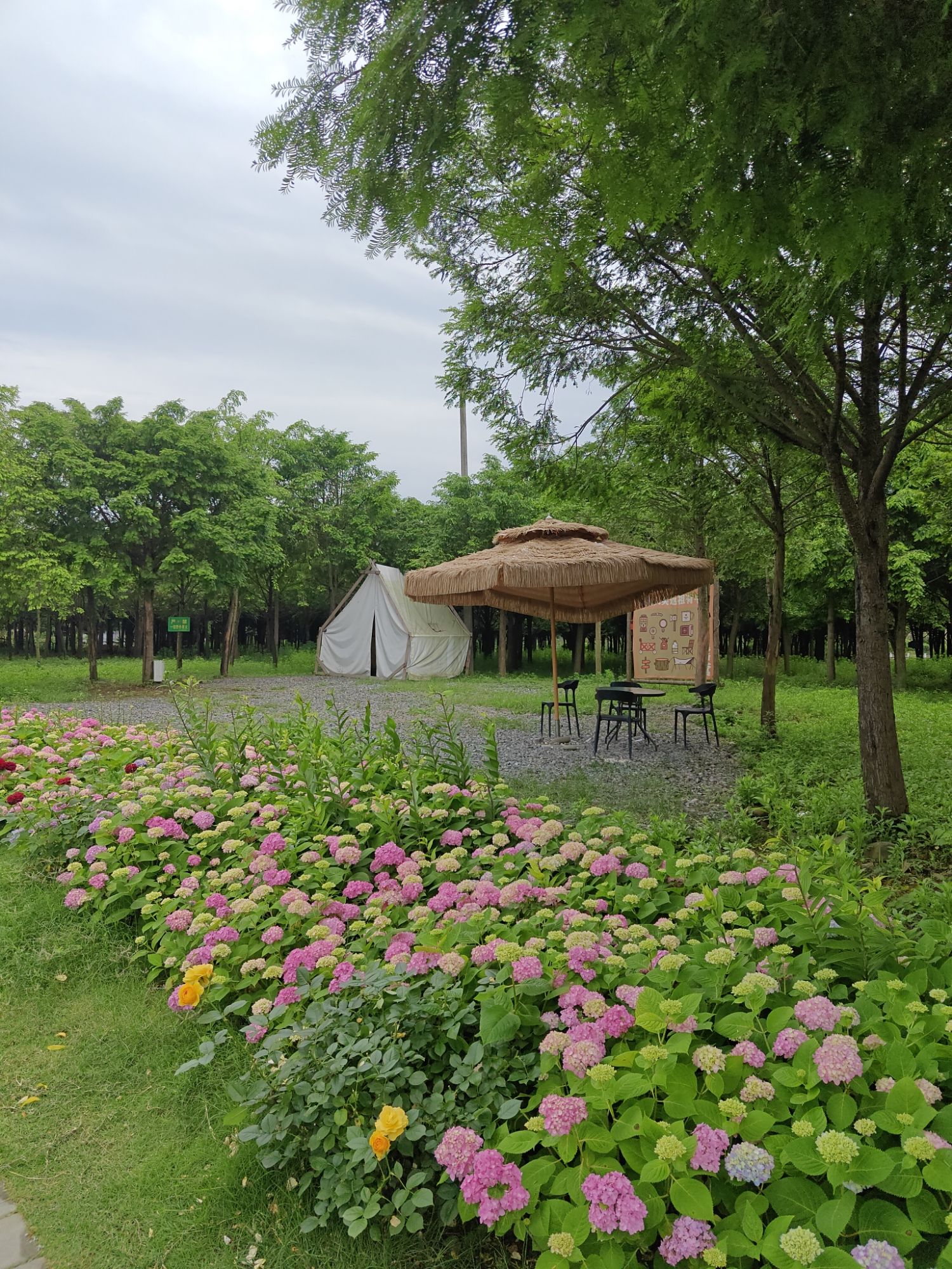 芷江桃花溪露营基地