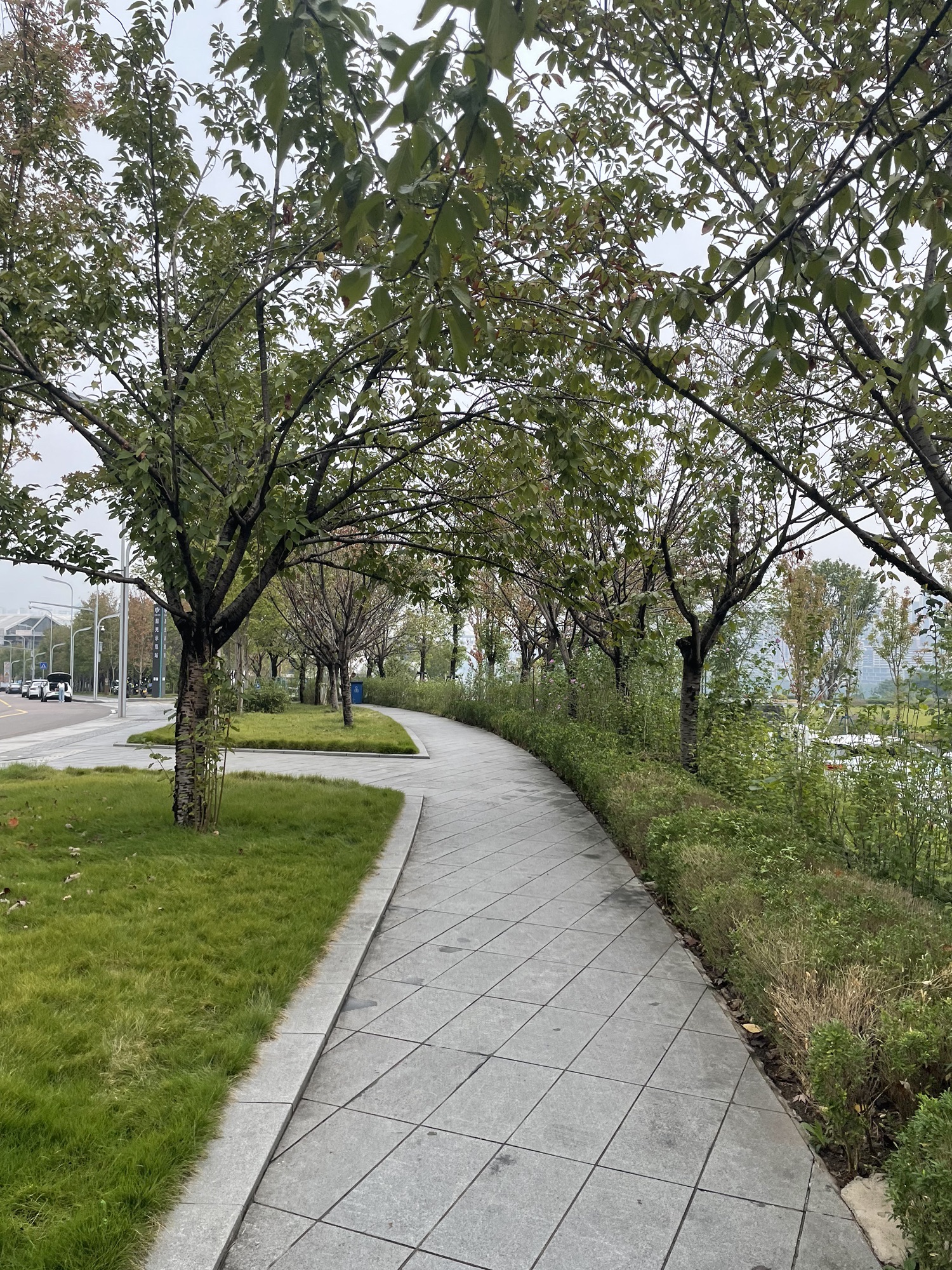 绿园公园旅行图片 2