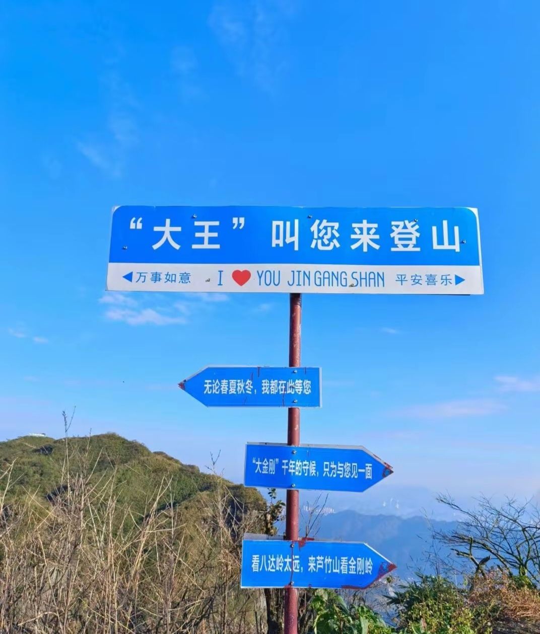 后山苗族布依族乡芦竹山景区旅行图片 2