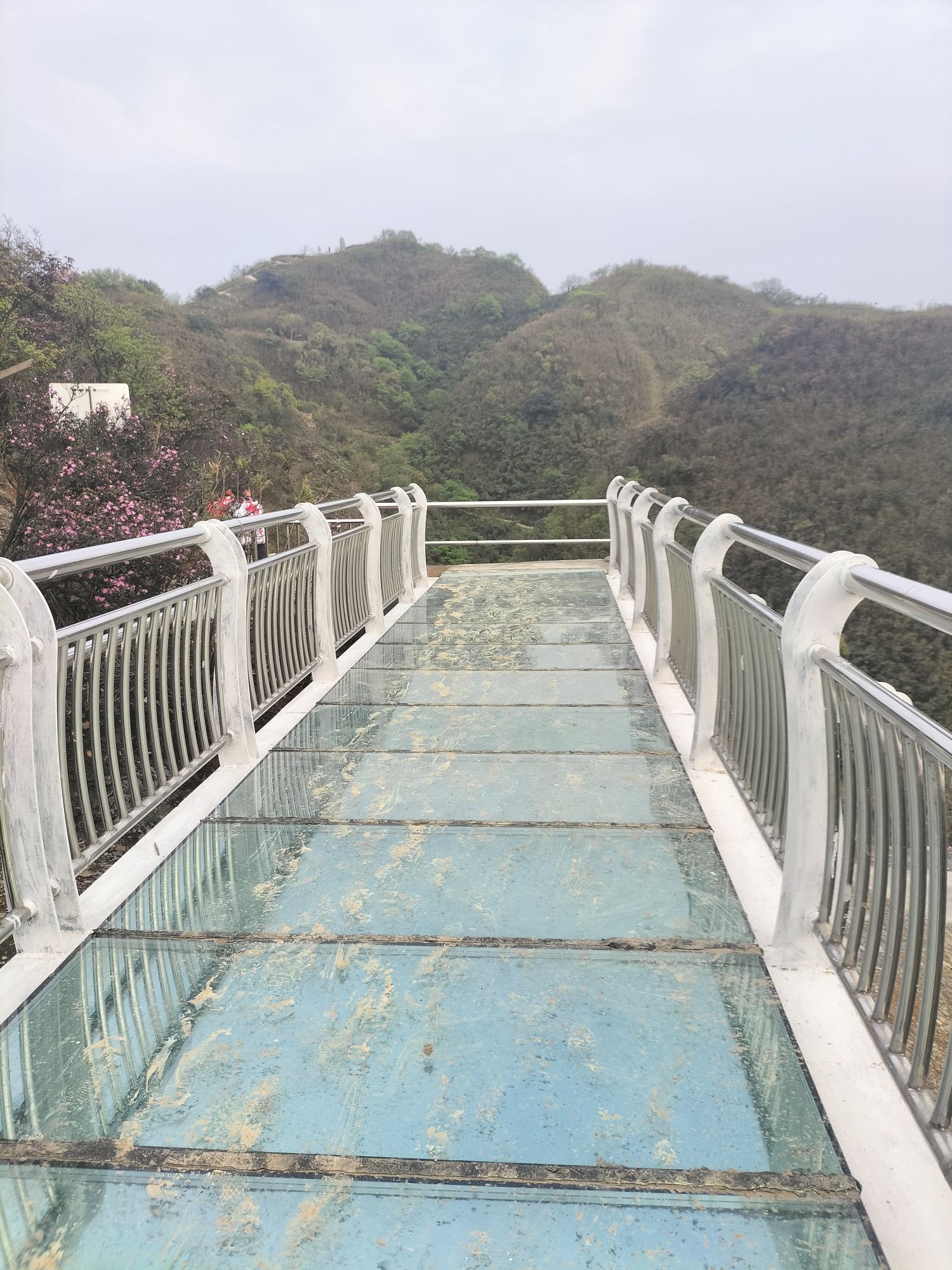 后山苗族布依族乡芦竹山景区旅行图片 3