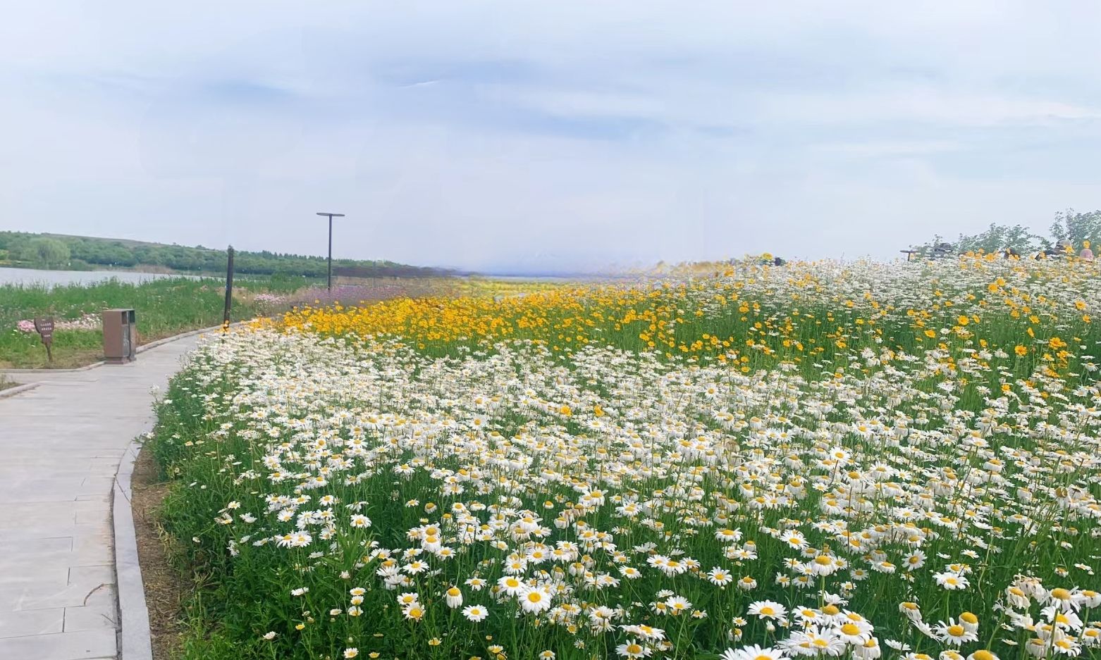 四季花谷旅行图片 2