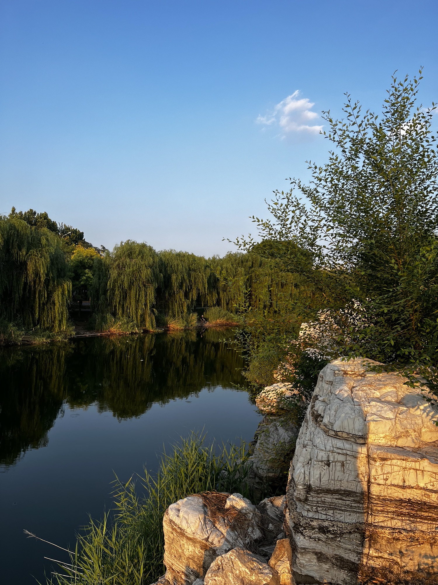 南运河文化公园旅行图片 3