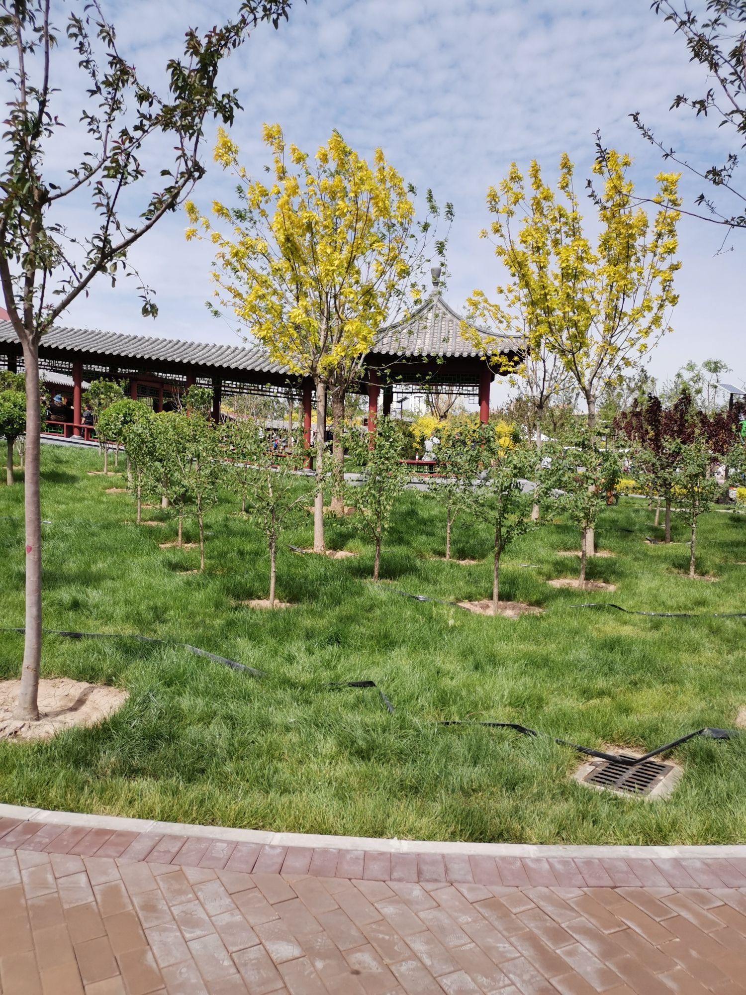南运河文化公园旅行图片 1