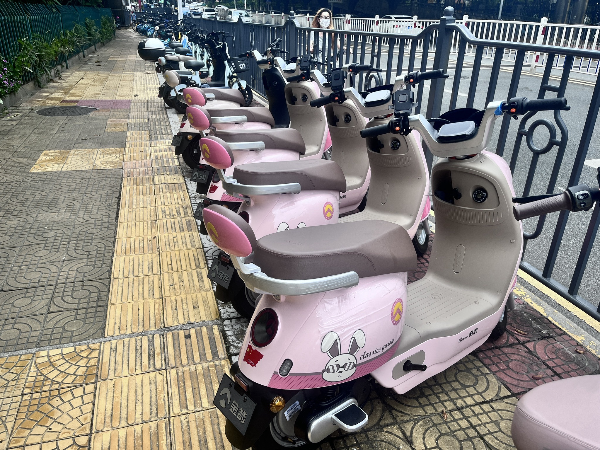 小飞鸽电动车出租