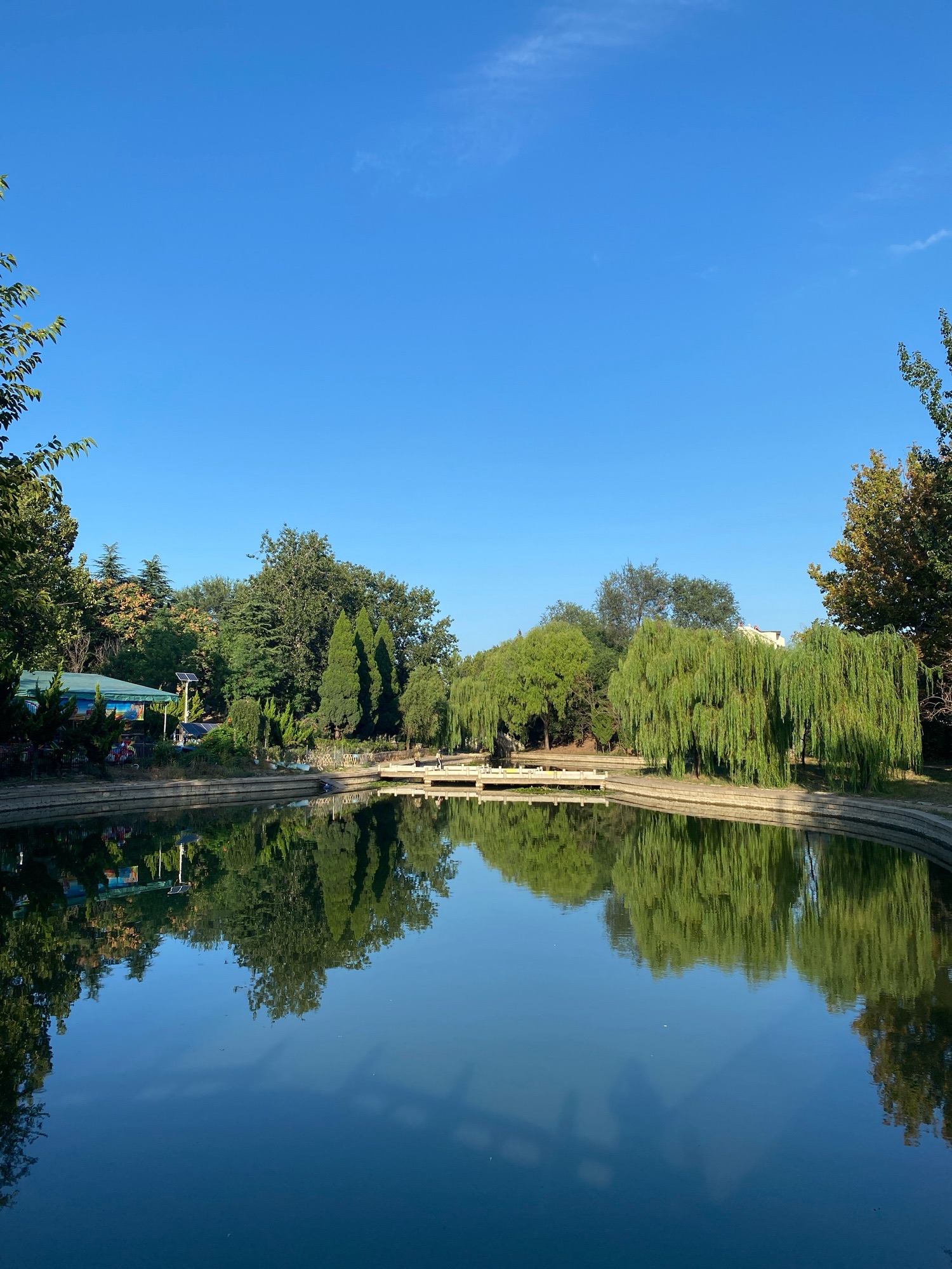 莱西龙海公园旅行图片 2