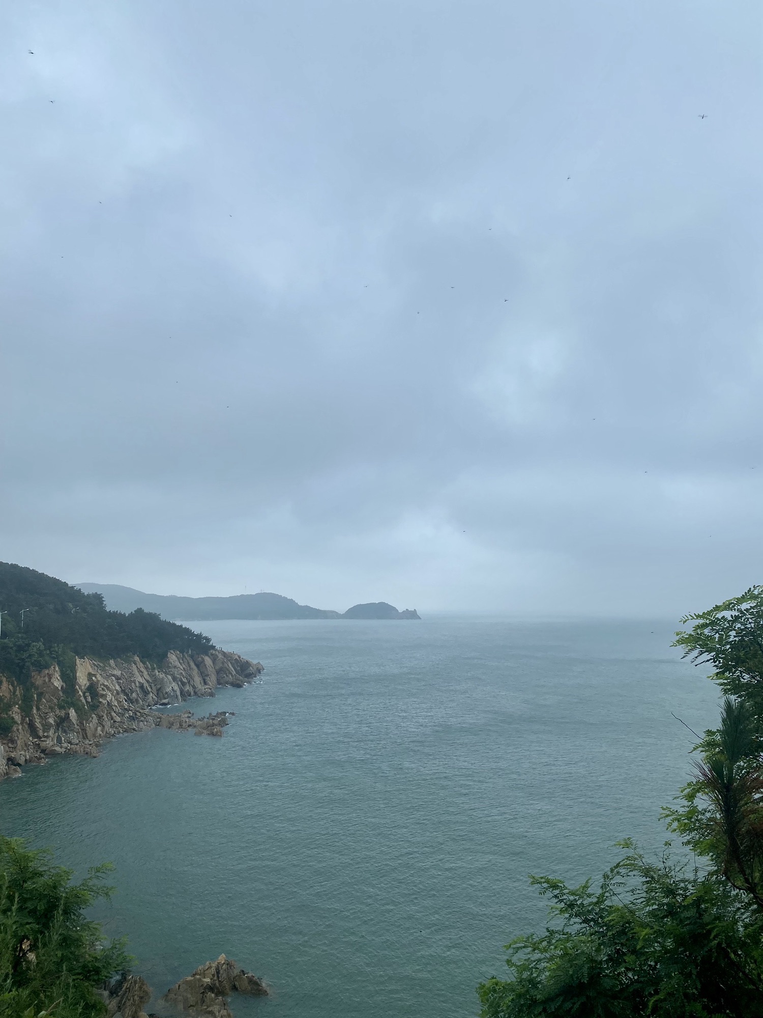环海路五号观景平台旅行图片 1