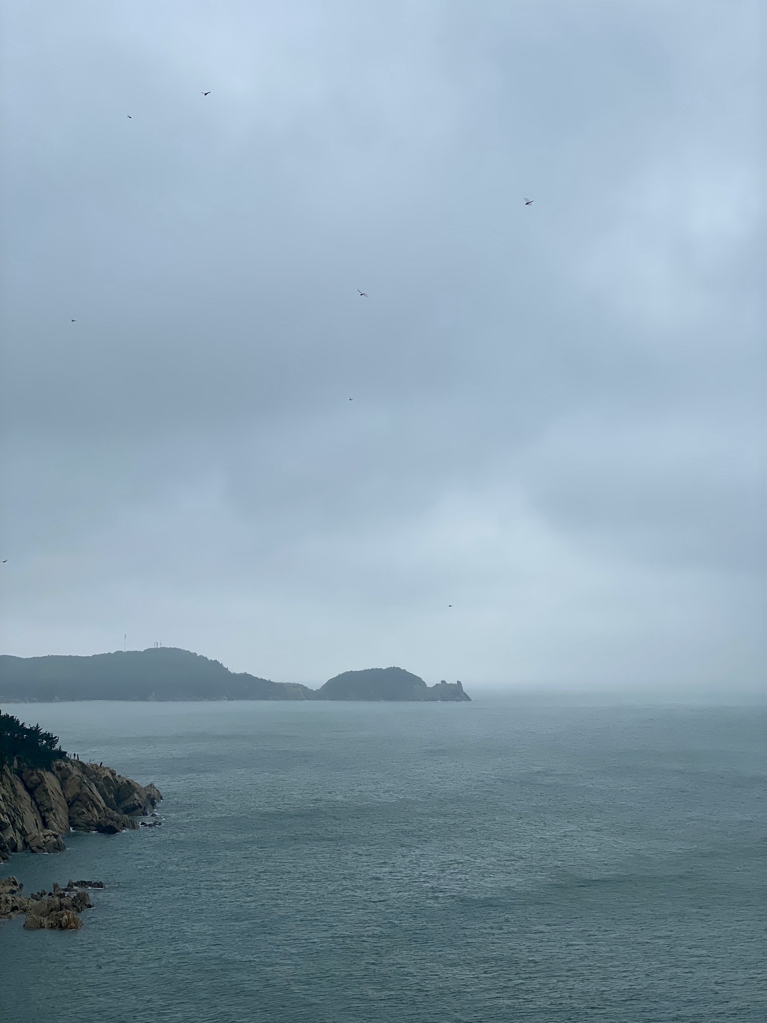 环海路五号观景平台旅行图片 2