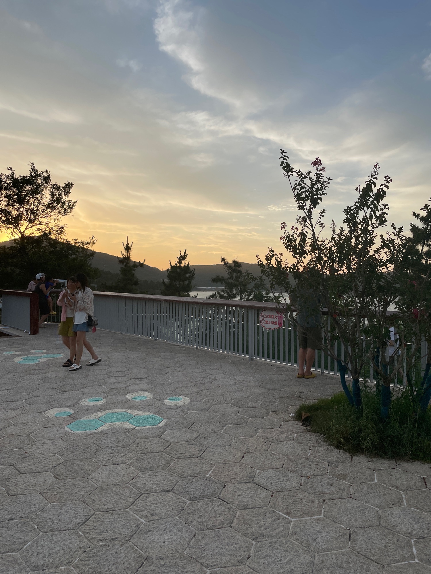 环海路五号观景平台旅行图片 1