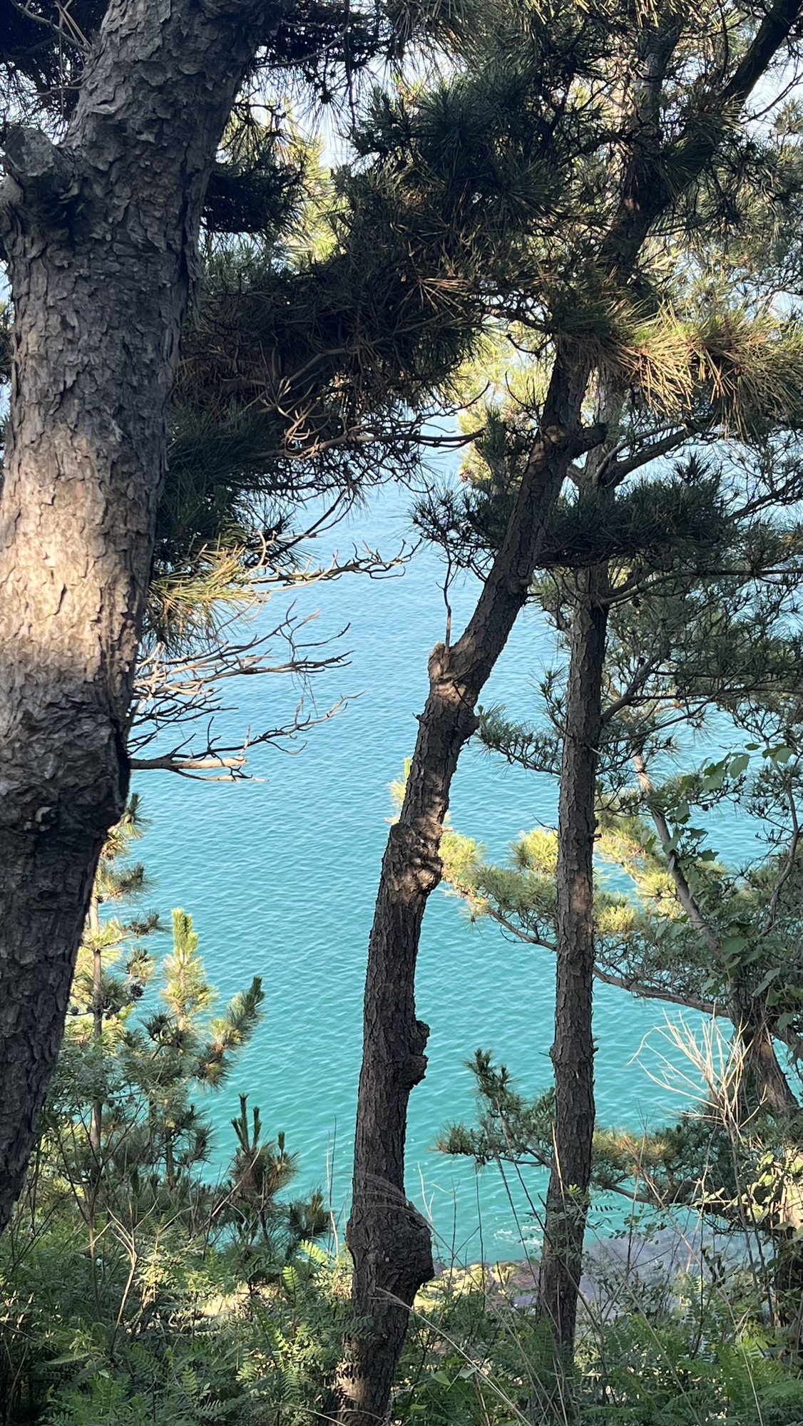 环海路三号观景平台旅行图片 2