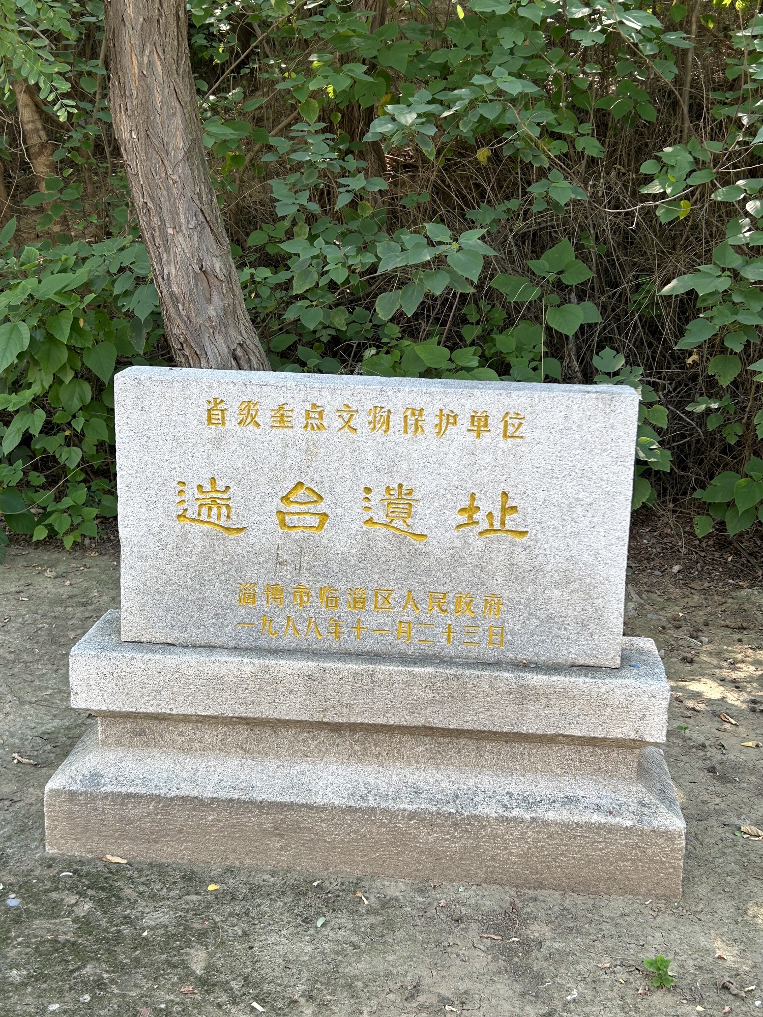 遄台遗址旅行图片 1