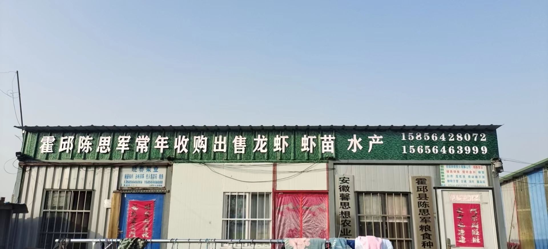 霍邱县陈思军水产龙虾虾苗养殖基地