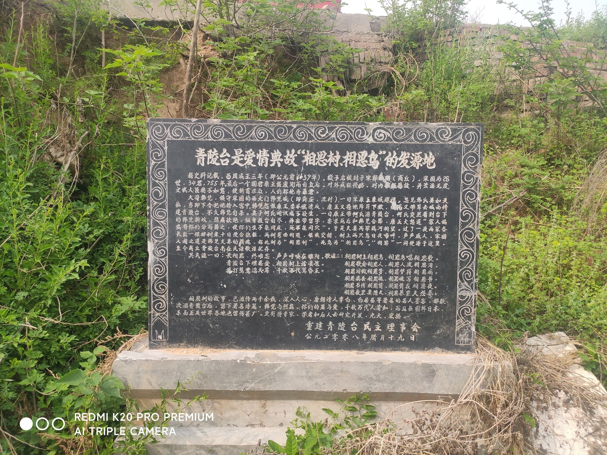 青陵台遗址旅行图片 1