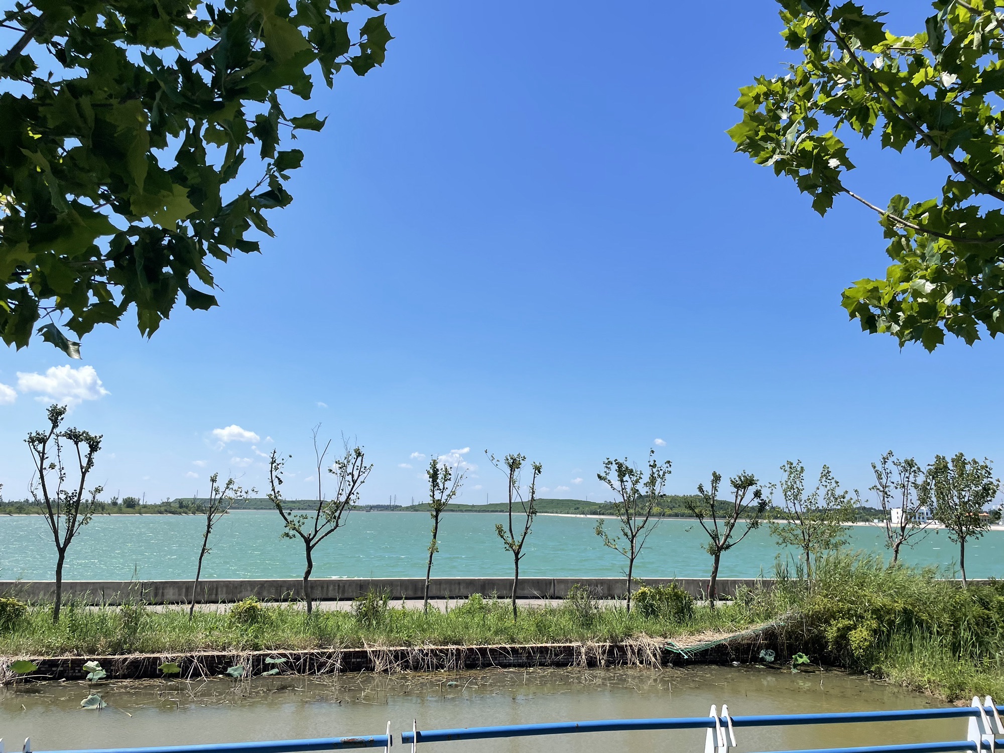 望岳湖森林公园