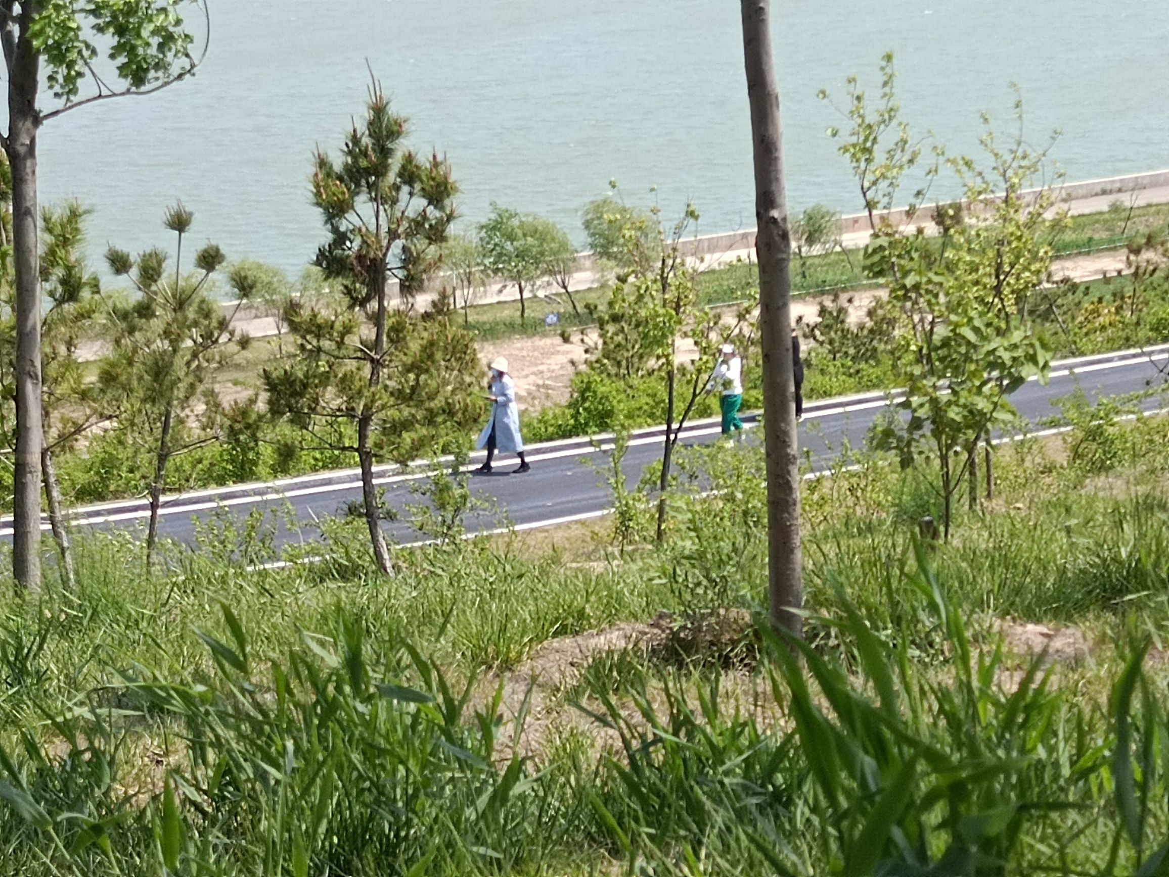 望岳湖森林公园旅行图片 1