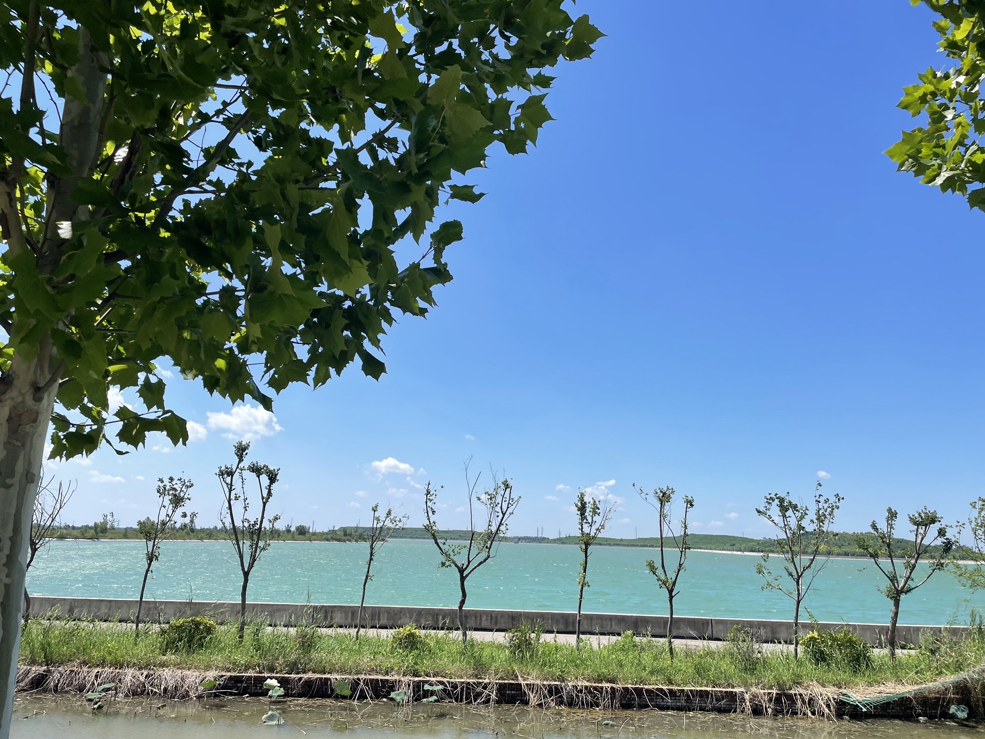 望岳湖森林公园旅行图片 2