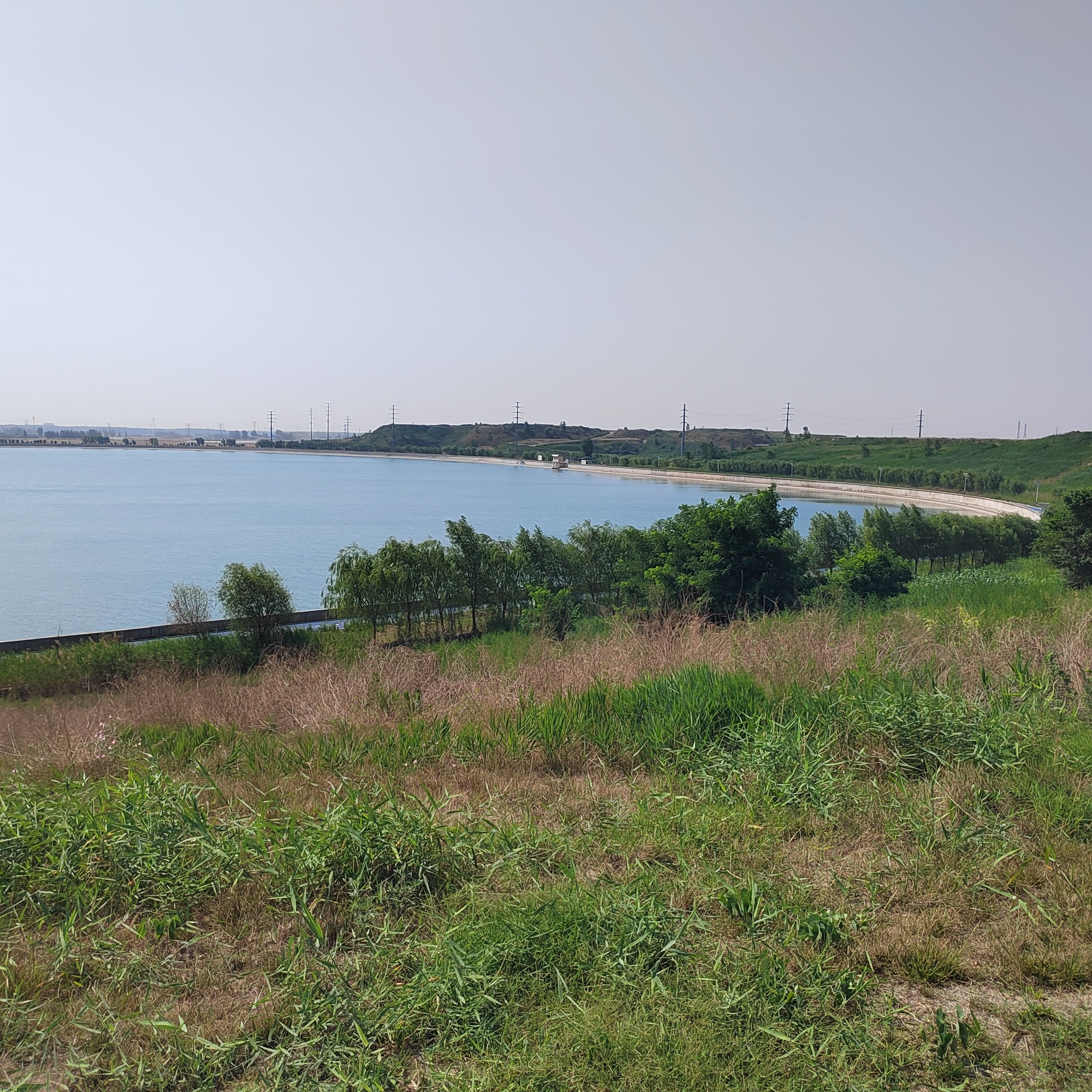 望岳湖森林公园旅行图片 3