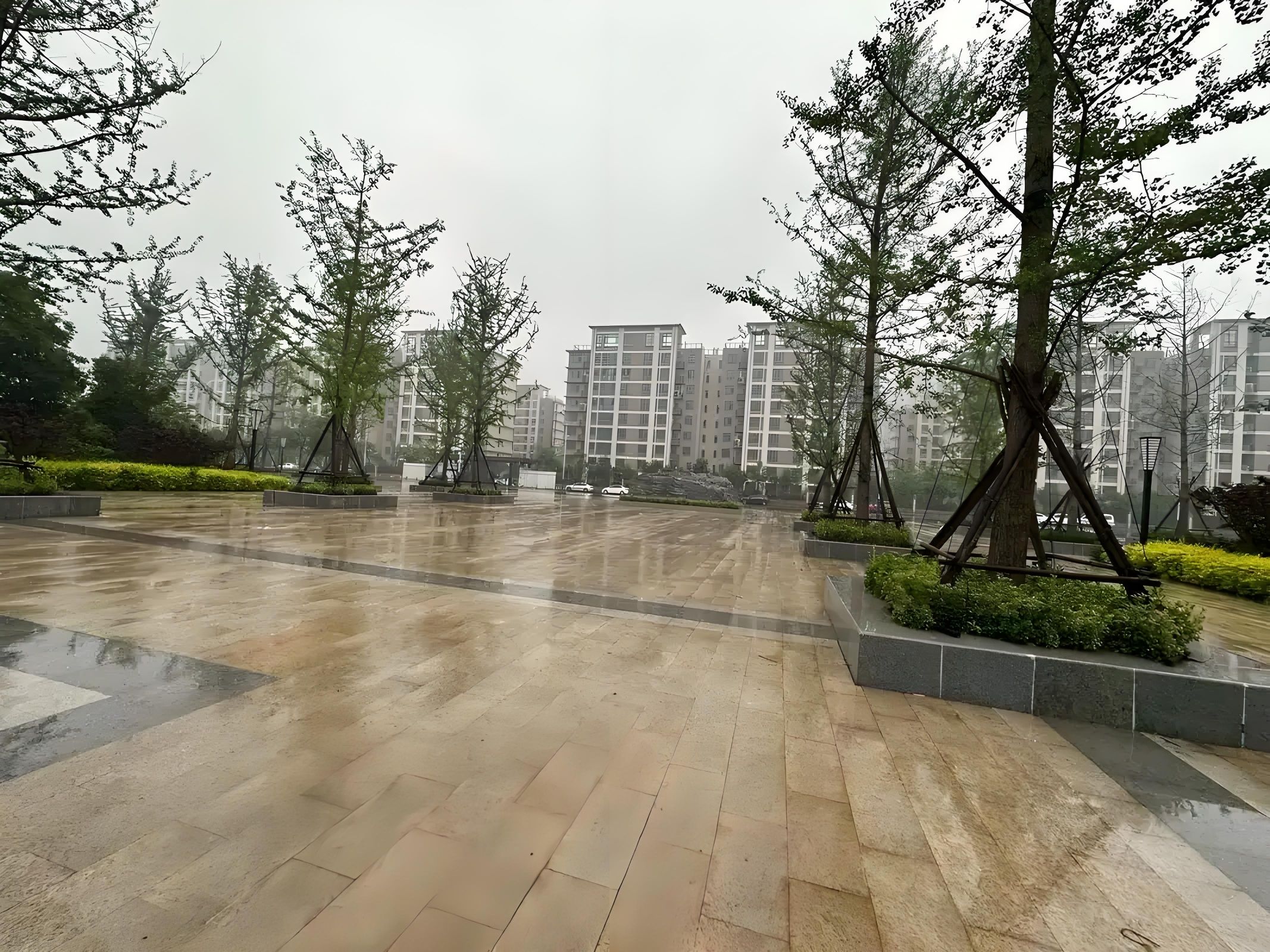 文峰综合公园旅行图片 2