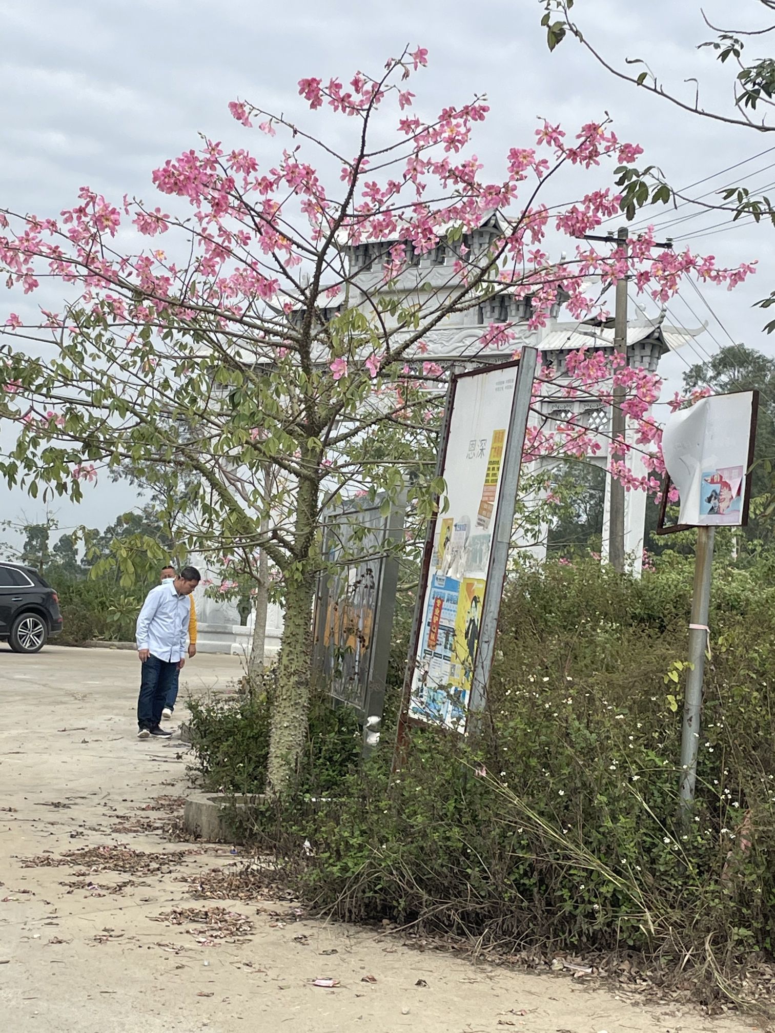 水口村牌坊旅行图片 2