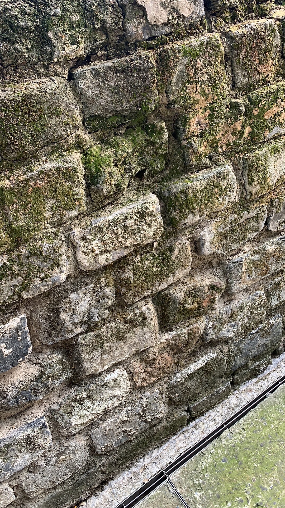常德会战碉堡群·矮城墙碉堡旅行图片 2
