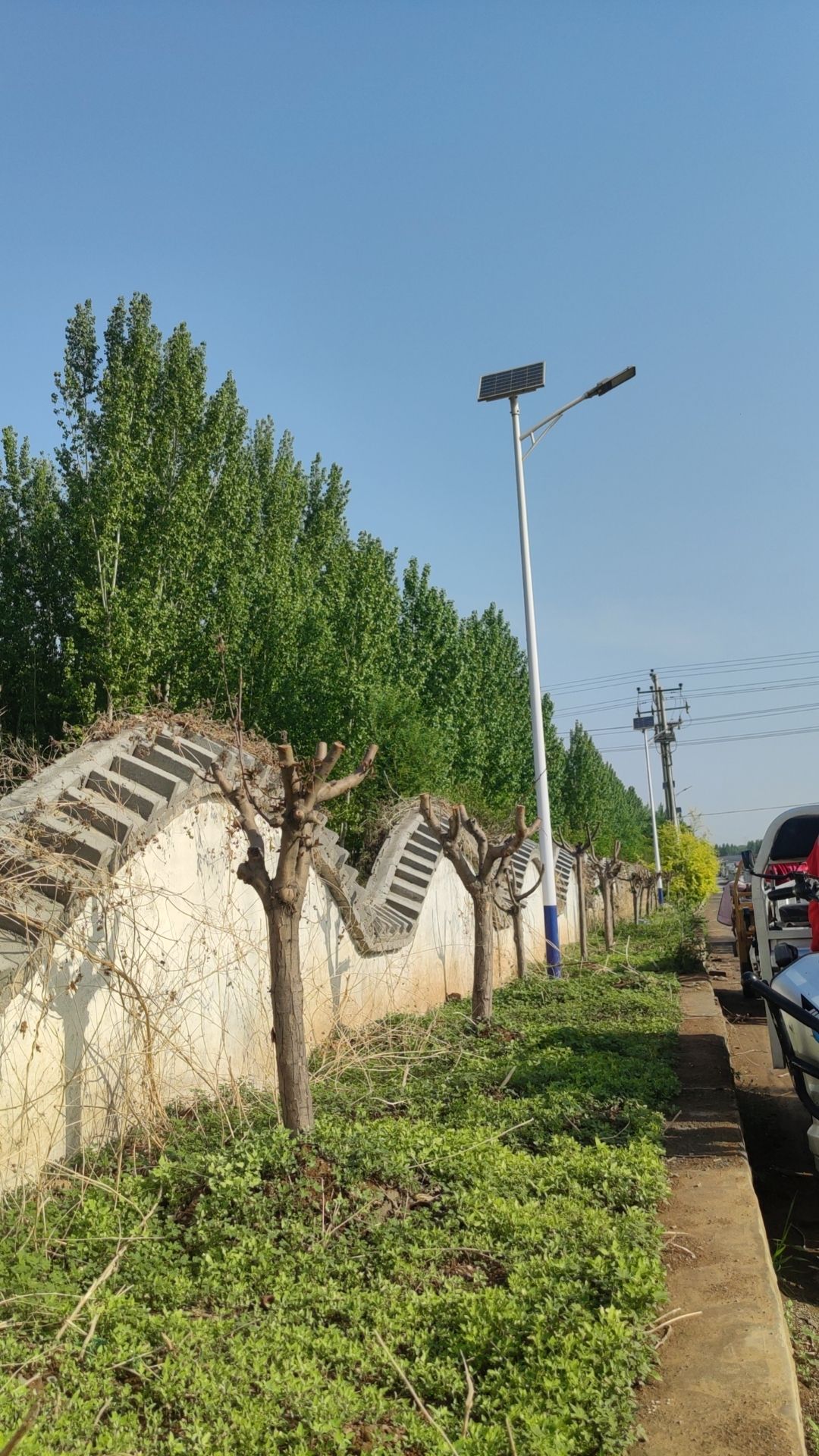 人民广场旅行图片 2