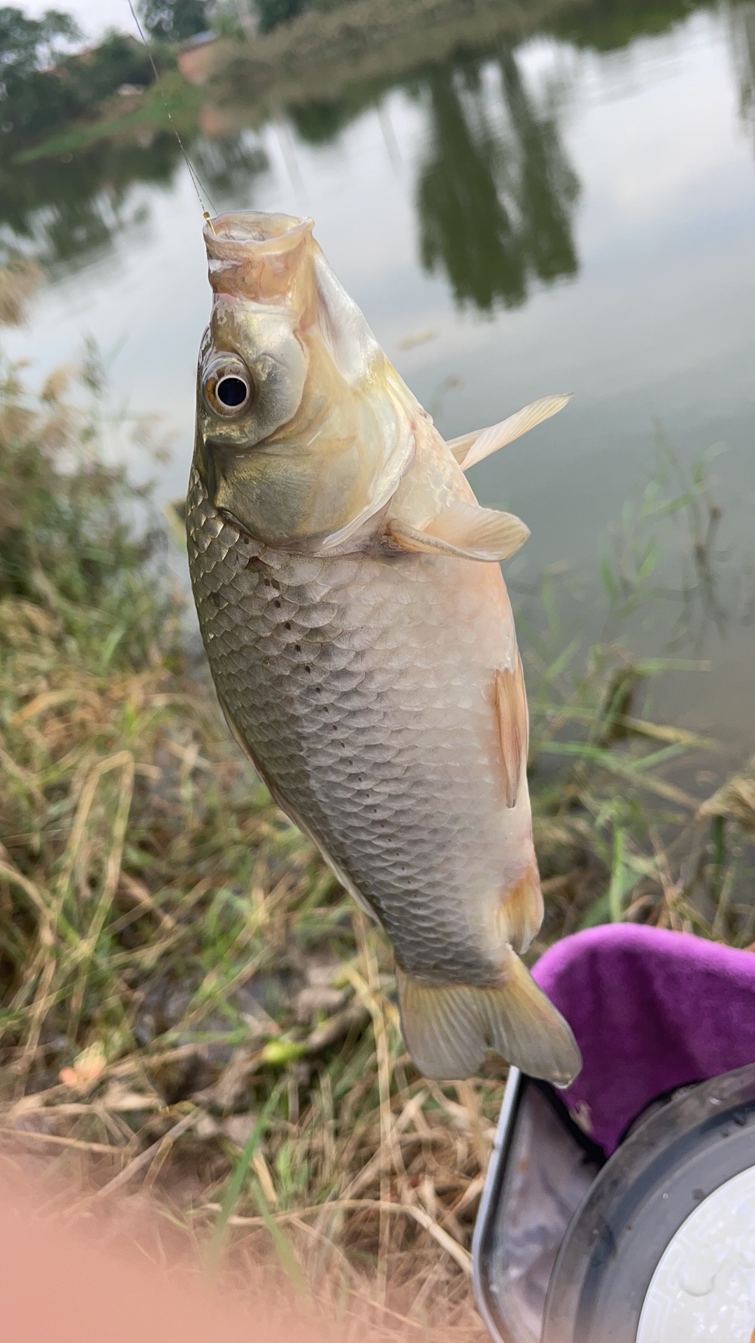 龍港垂钓园 - 永丰街道便民圈栖邻生活圈休闲服务服务点实景照片