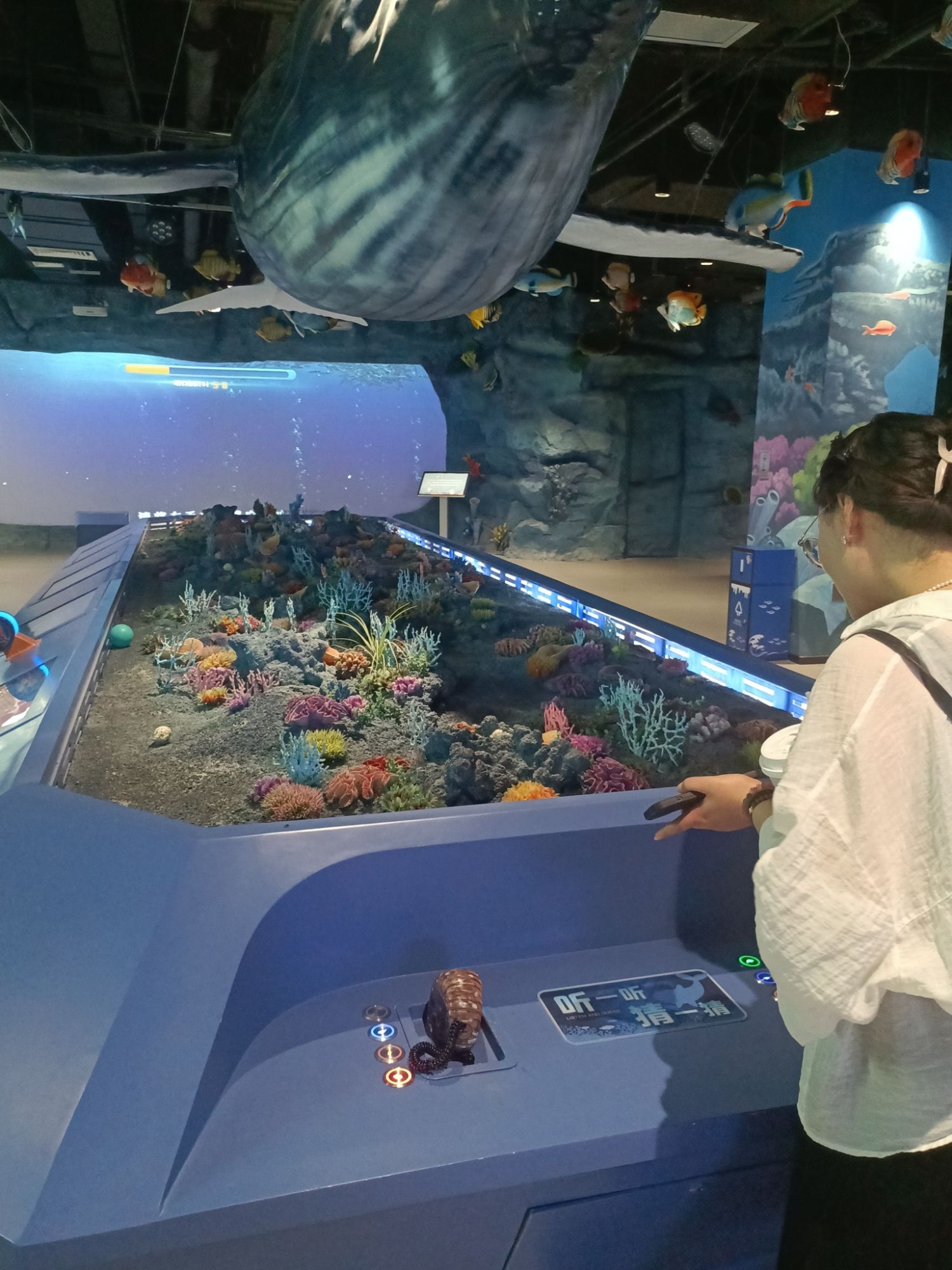 渔湾奇幻乐园旅行图片 1