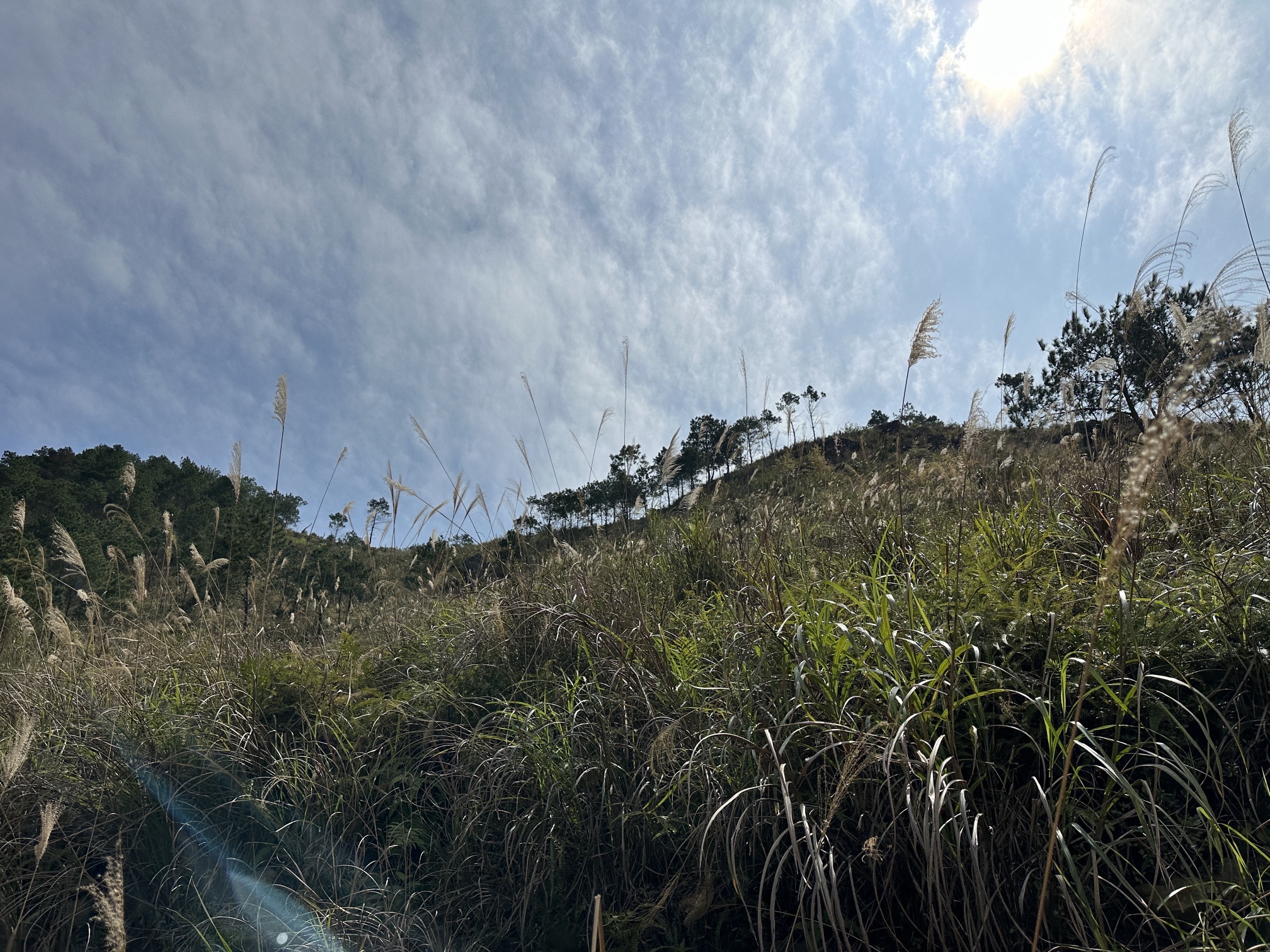 平南县雷公山生态旅游景区旅行图片 2