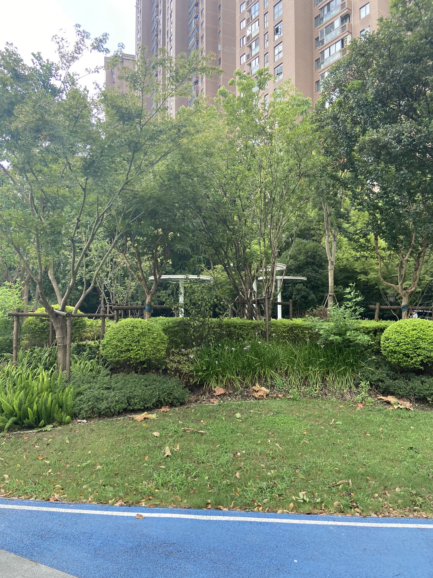 镜花园旅行图片 3