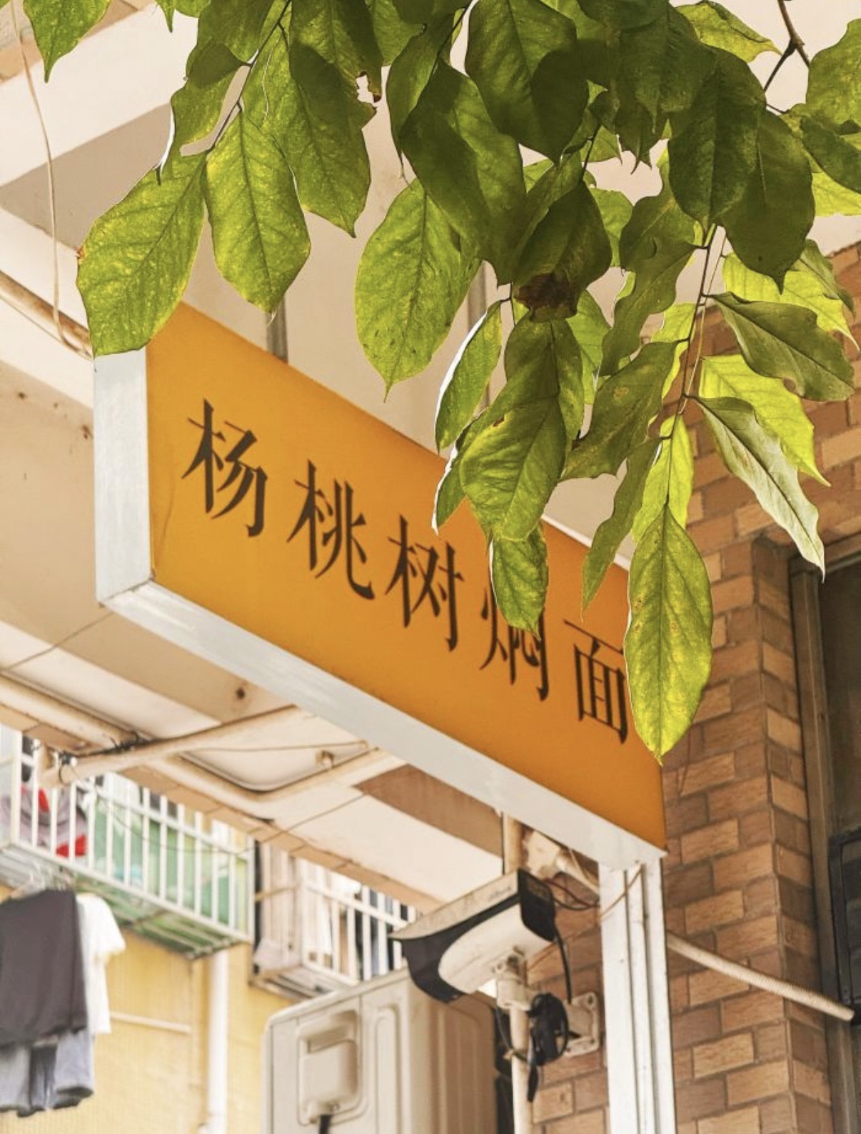 杨桃树焖面(府城店)
