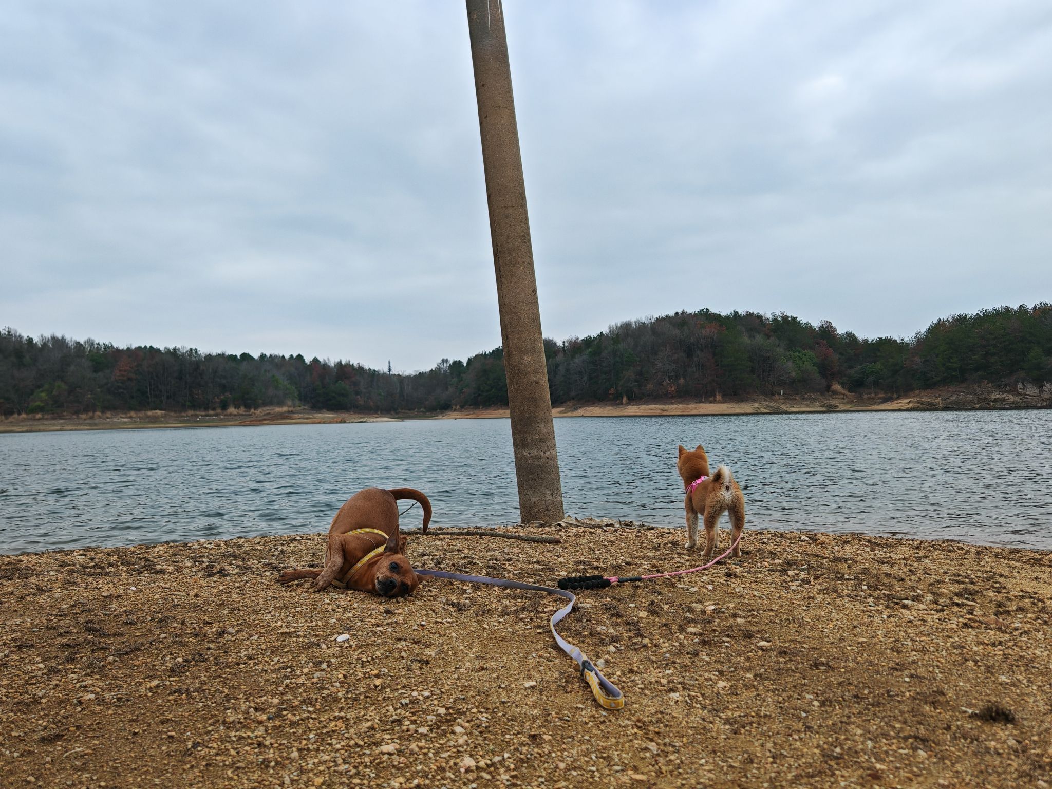 场地封面-梅店半岛营地