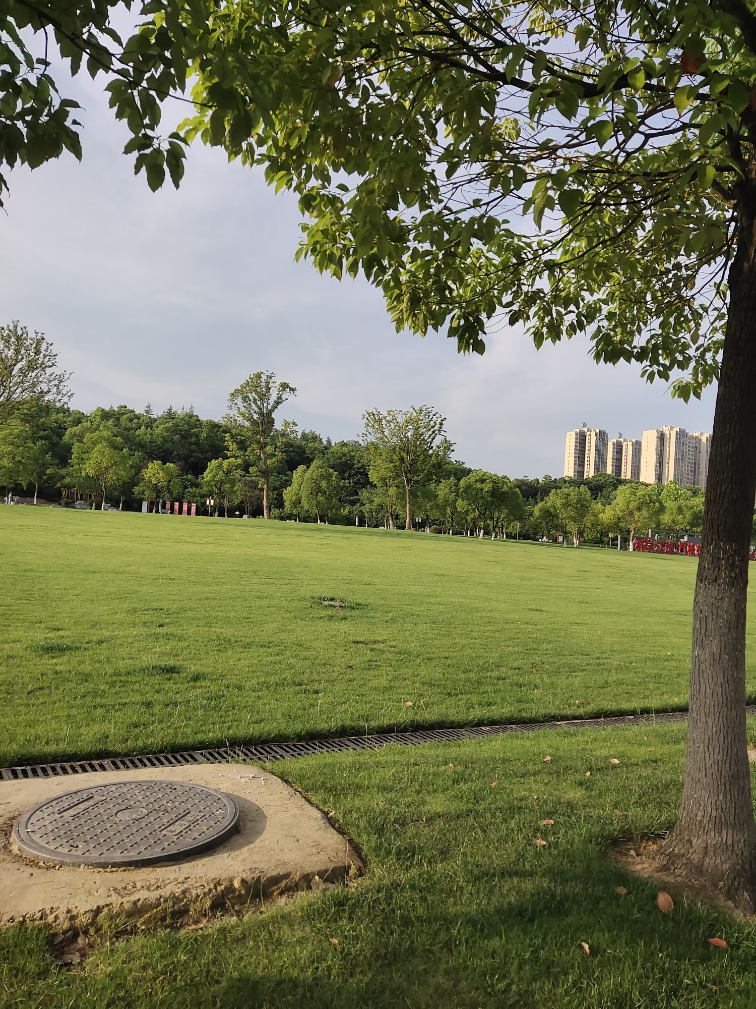 滁州市宪法主题公园(暂停开放)旅行图片 2